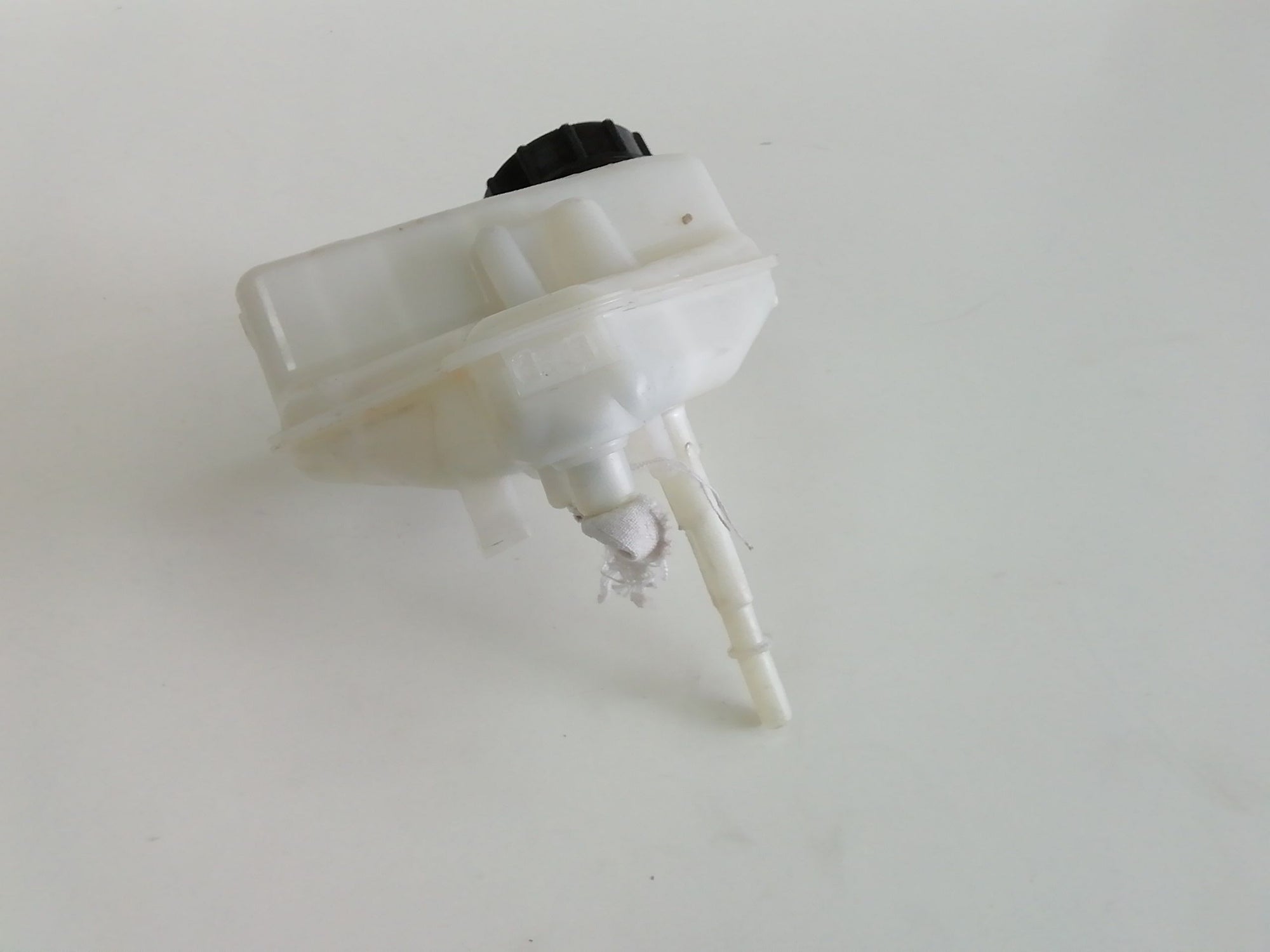 Immagine 3