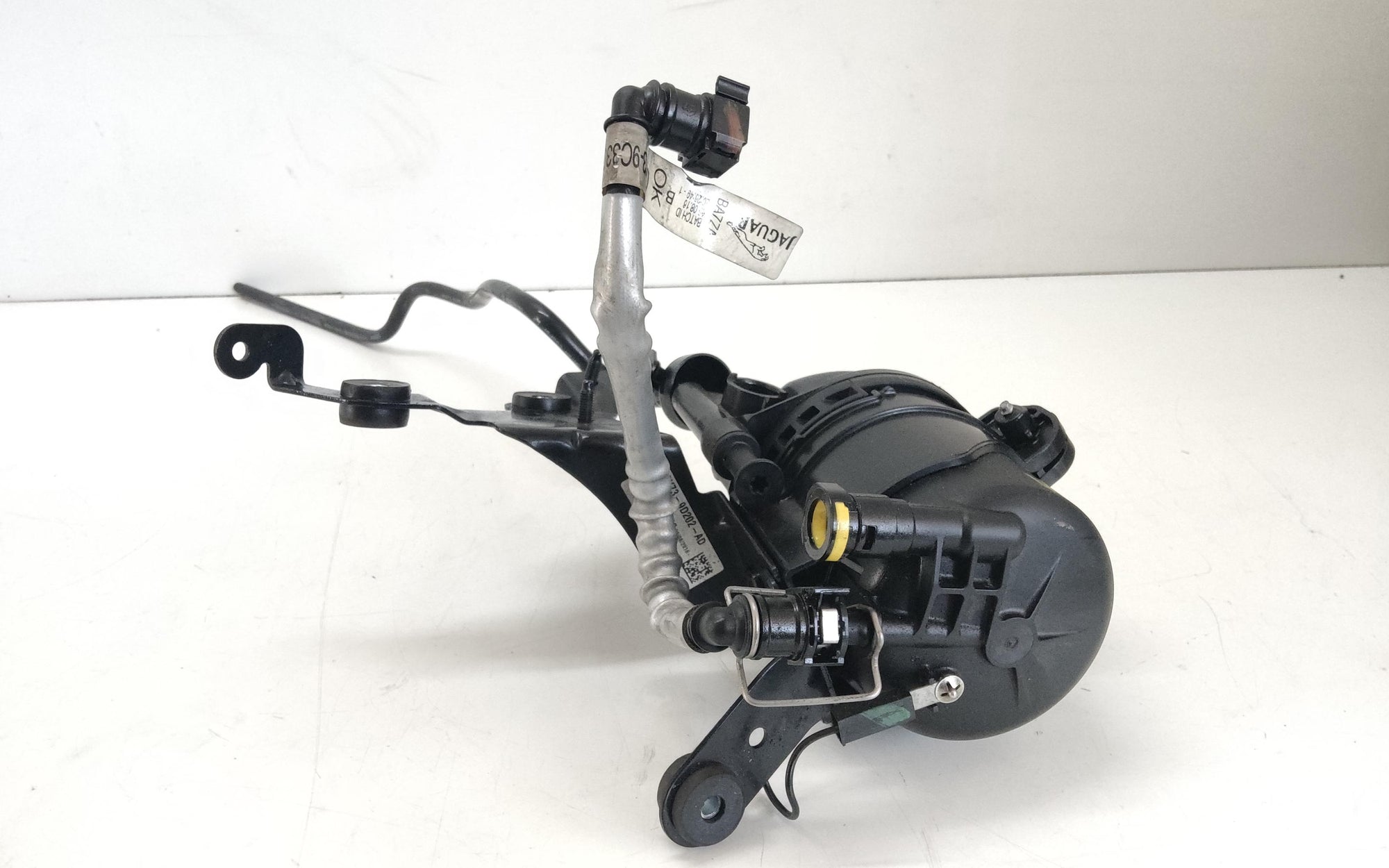 Immagine 1