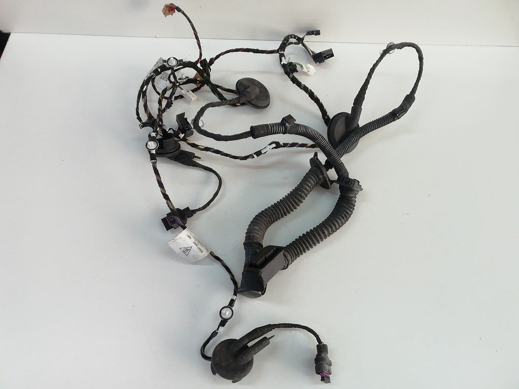 Immagine 4