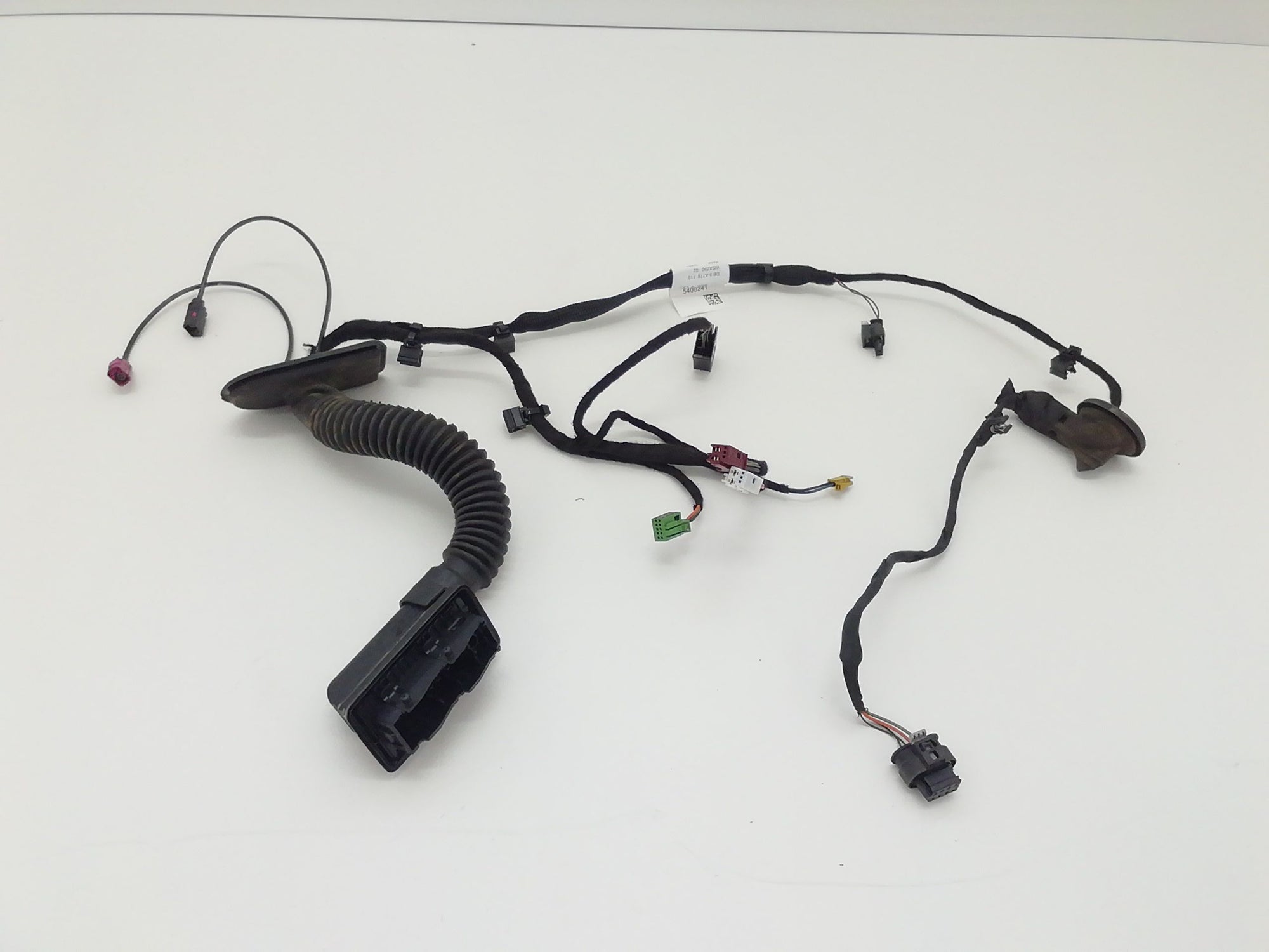 Immagine 1