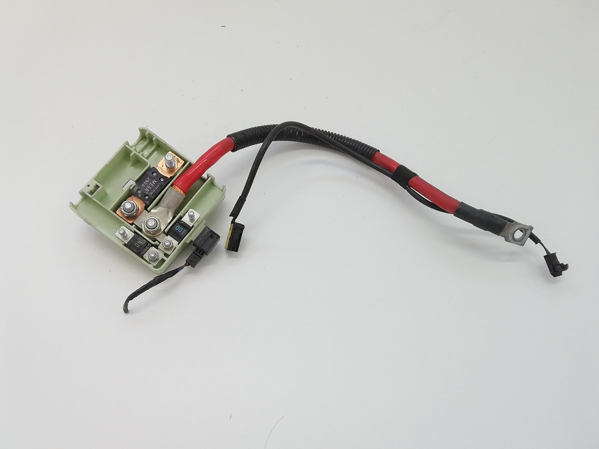 Immagine 1