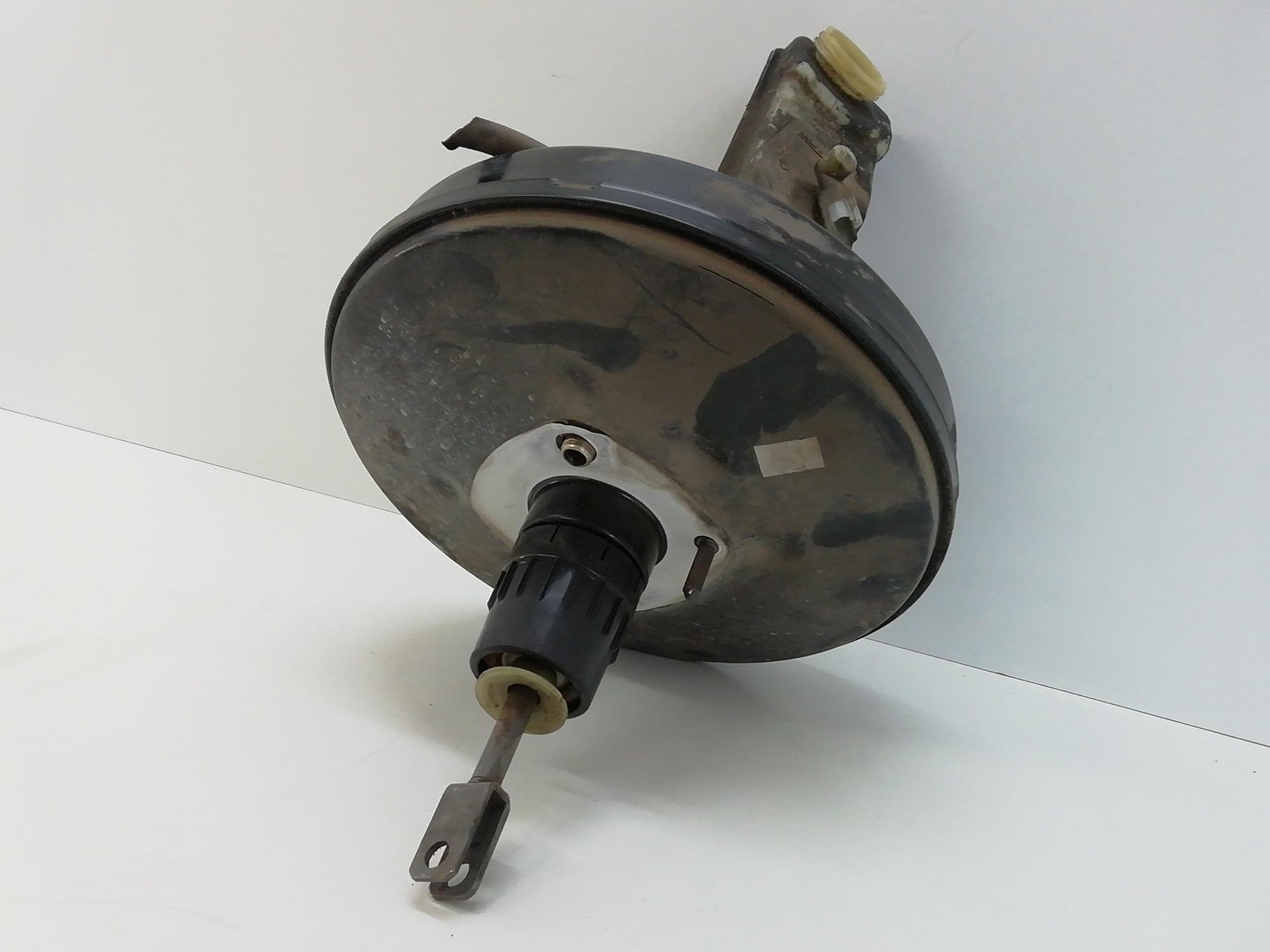 Immagine 6