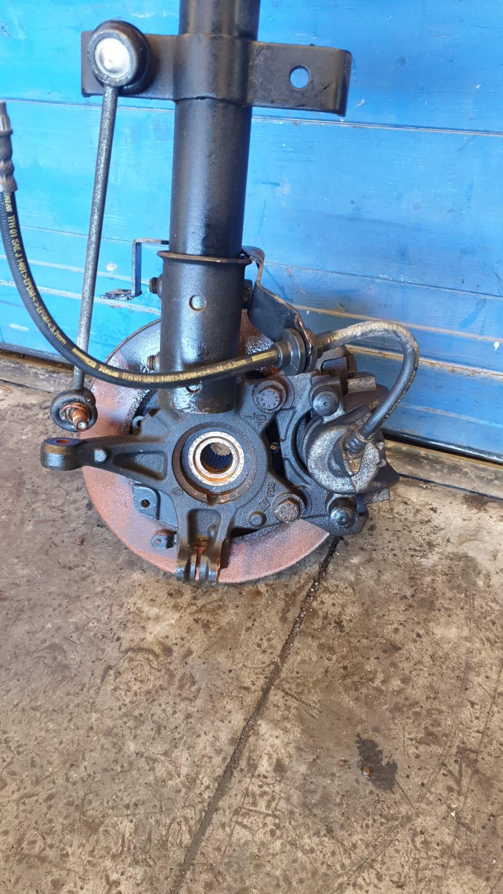 Immagine 4
