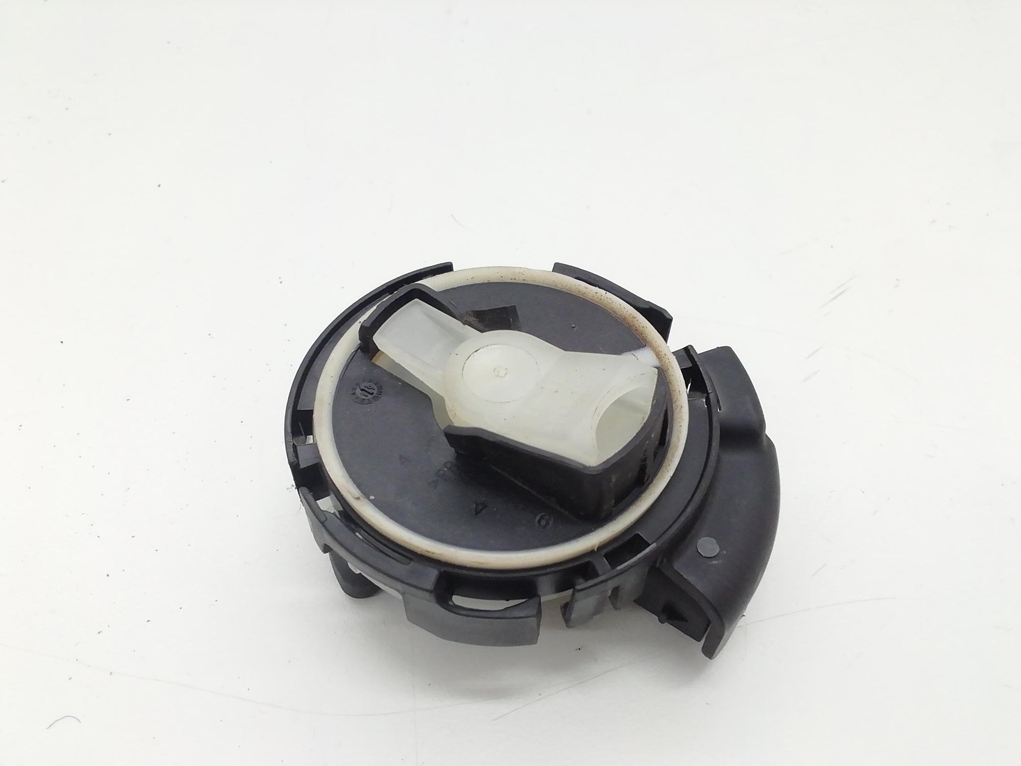 Immagine 5