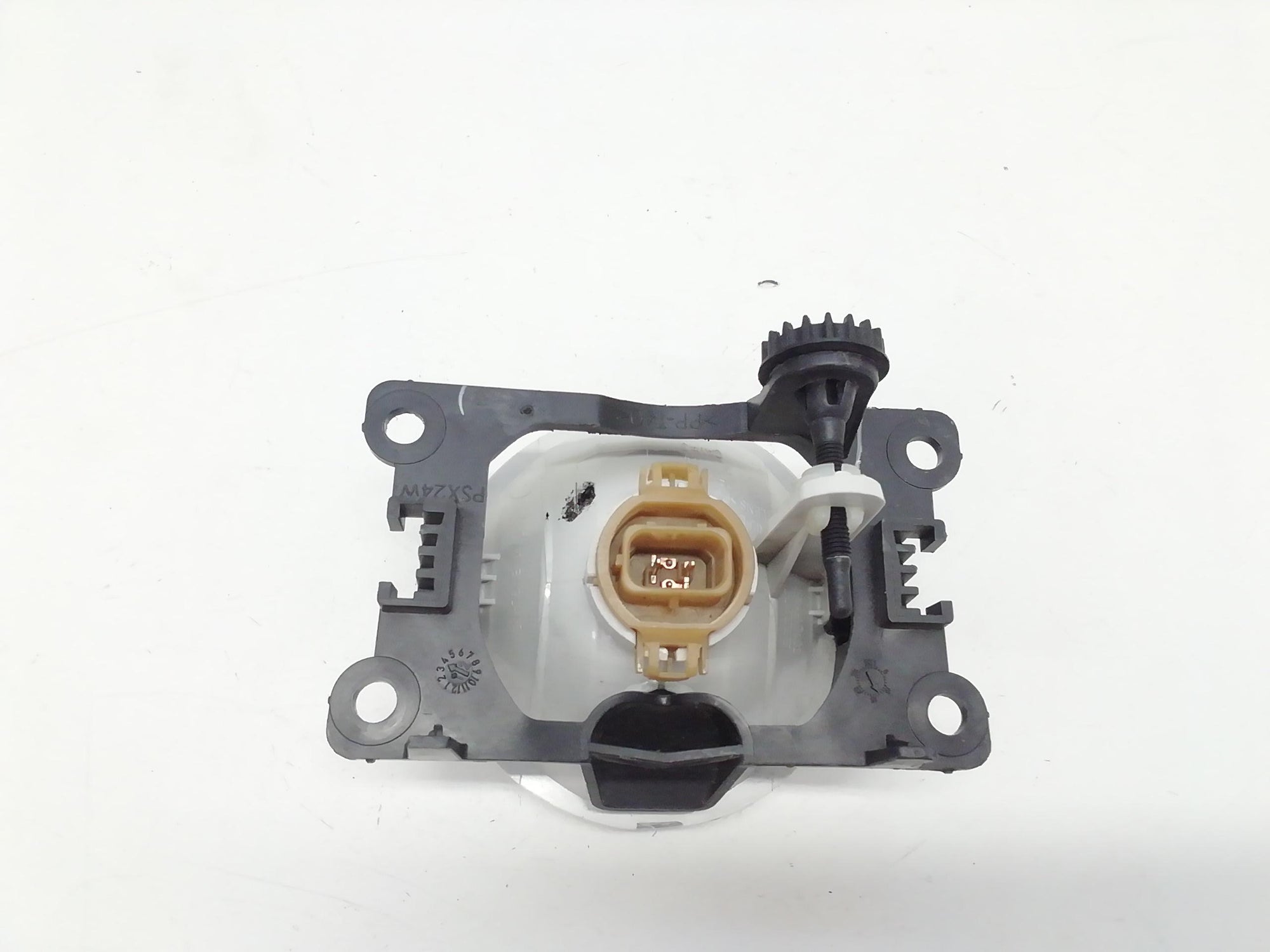 Immagine 5