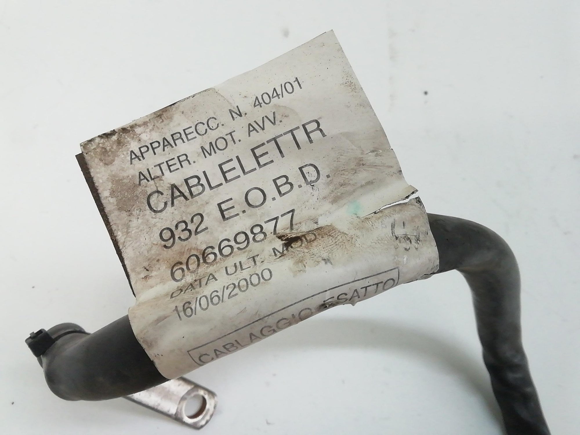Immagine 4