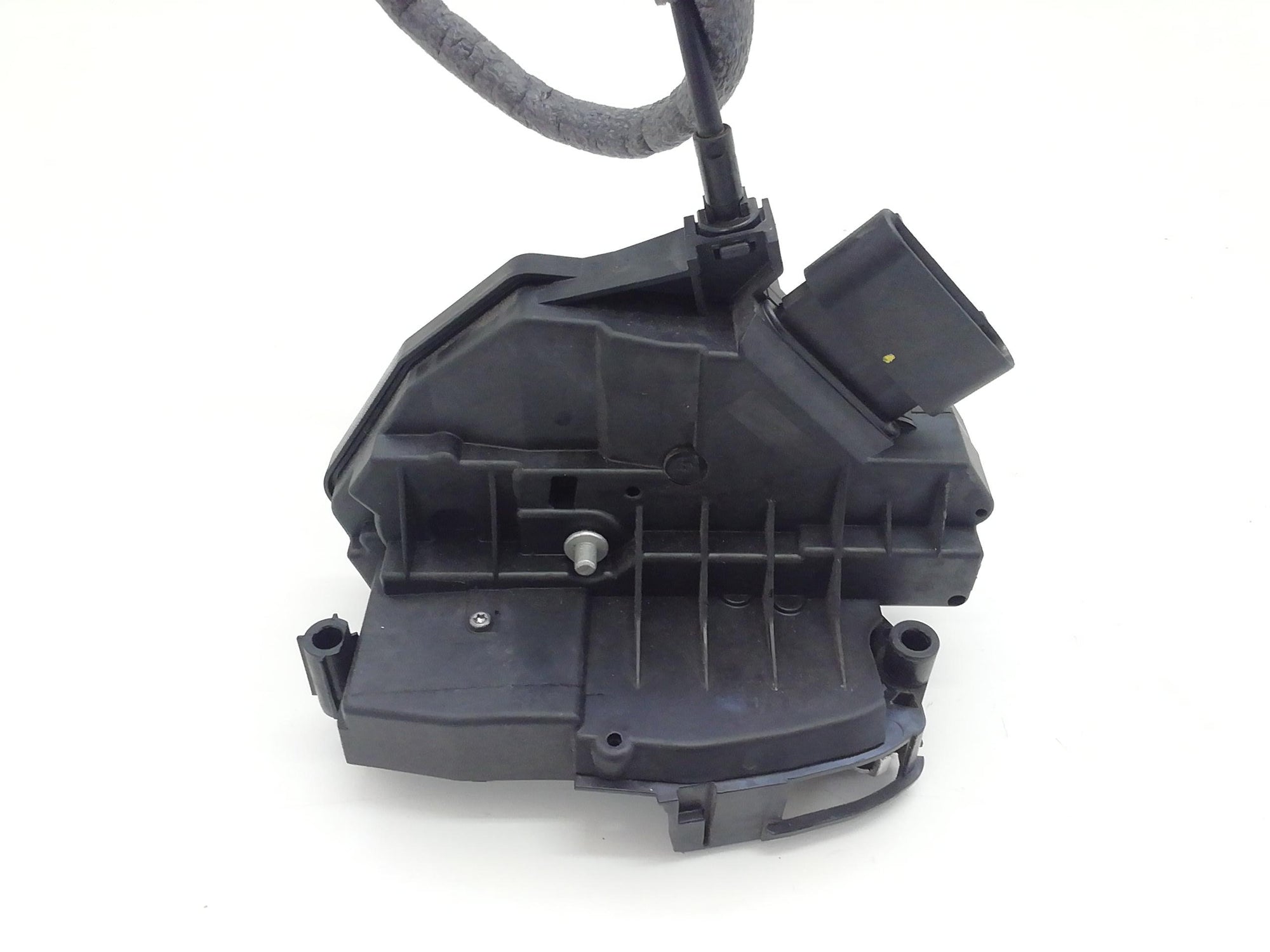 Immagine 2