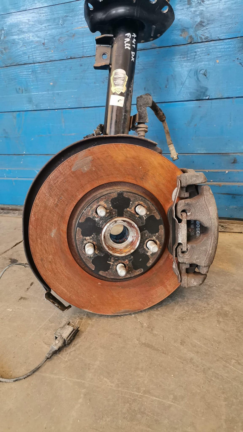 Immagine 6