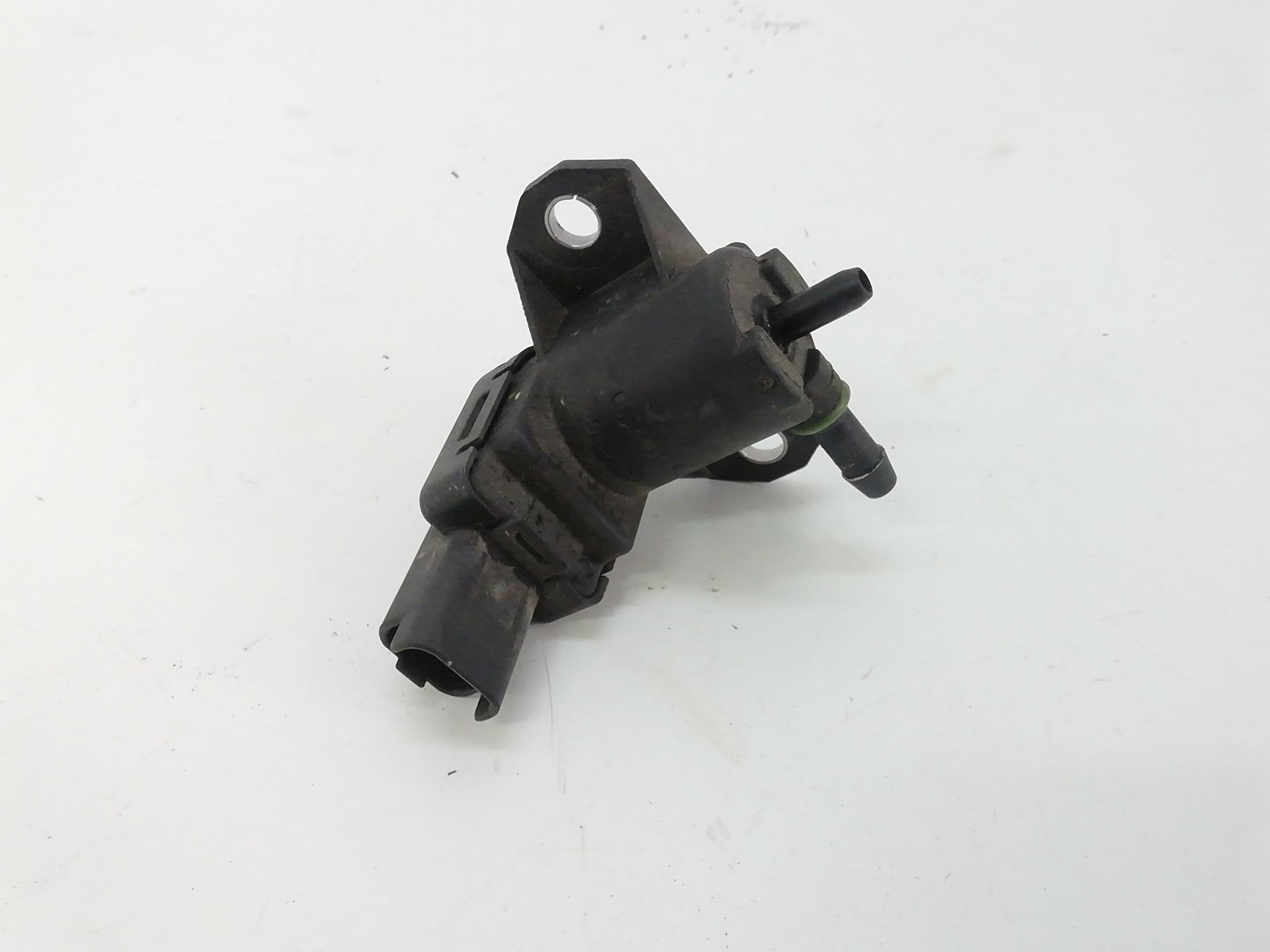 Immagine 1
