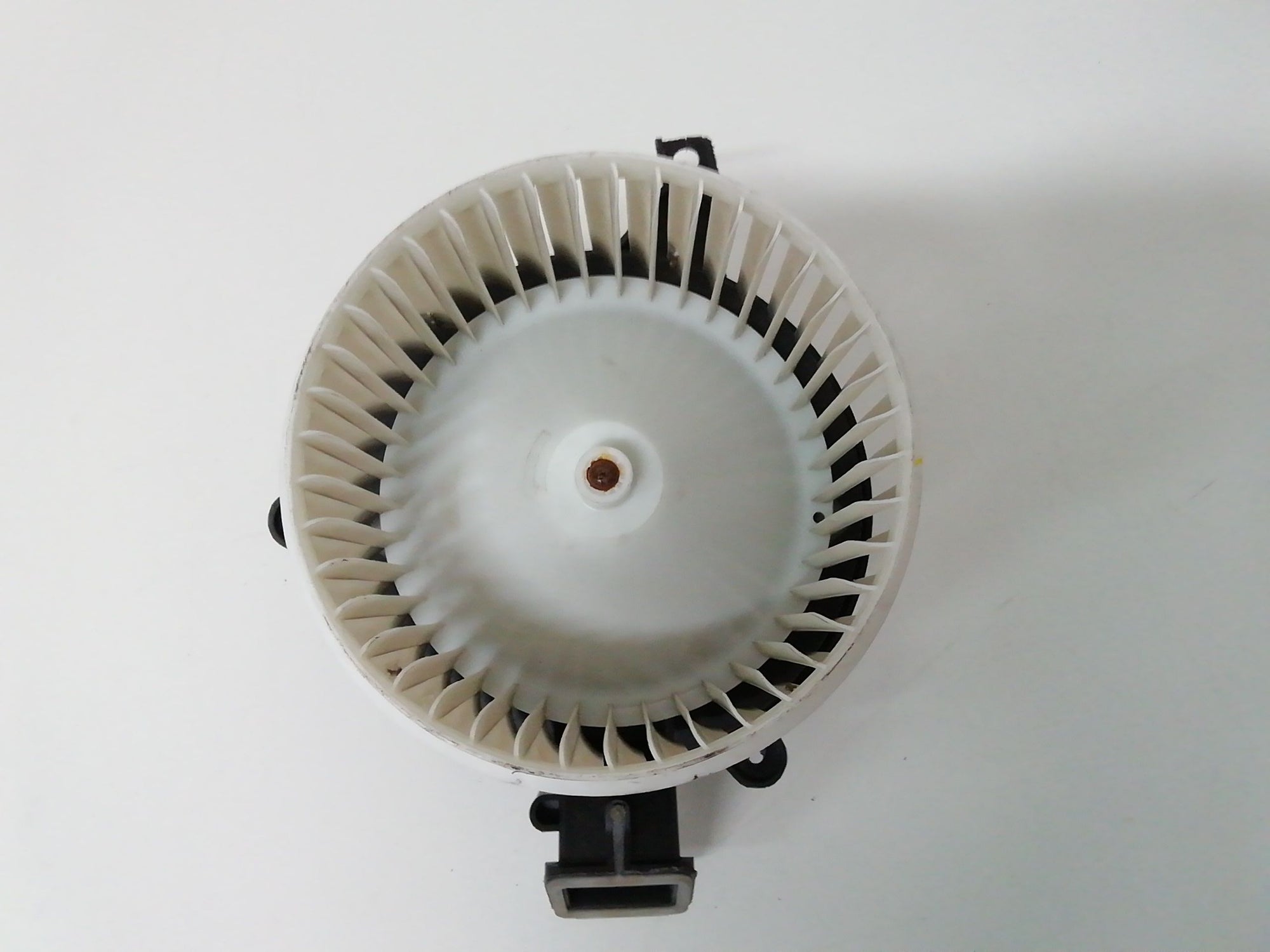 Immagine 5