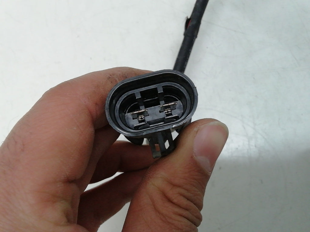 Immagine 4