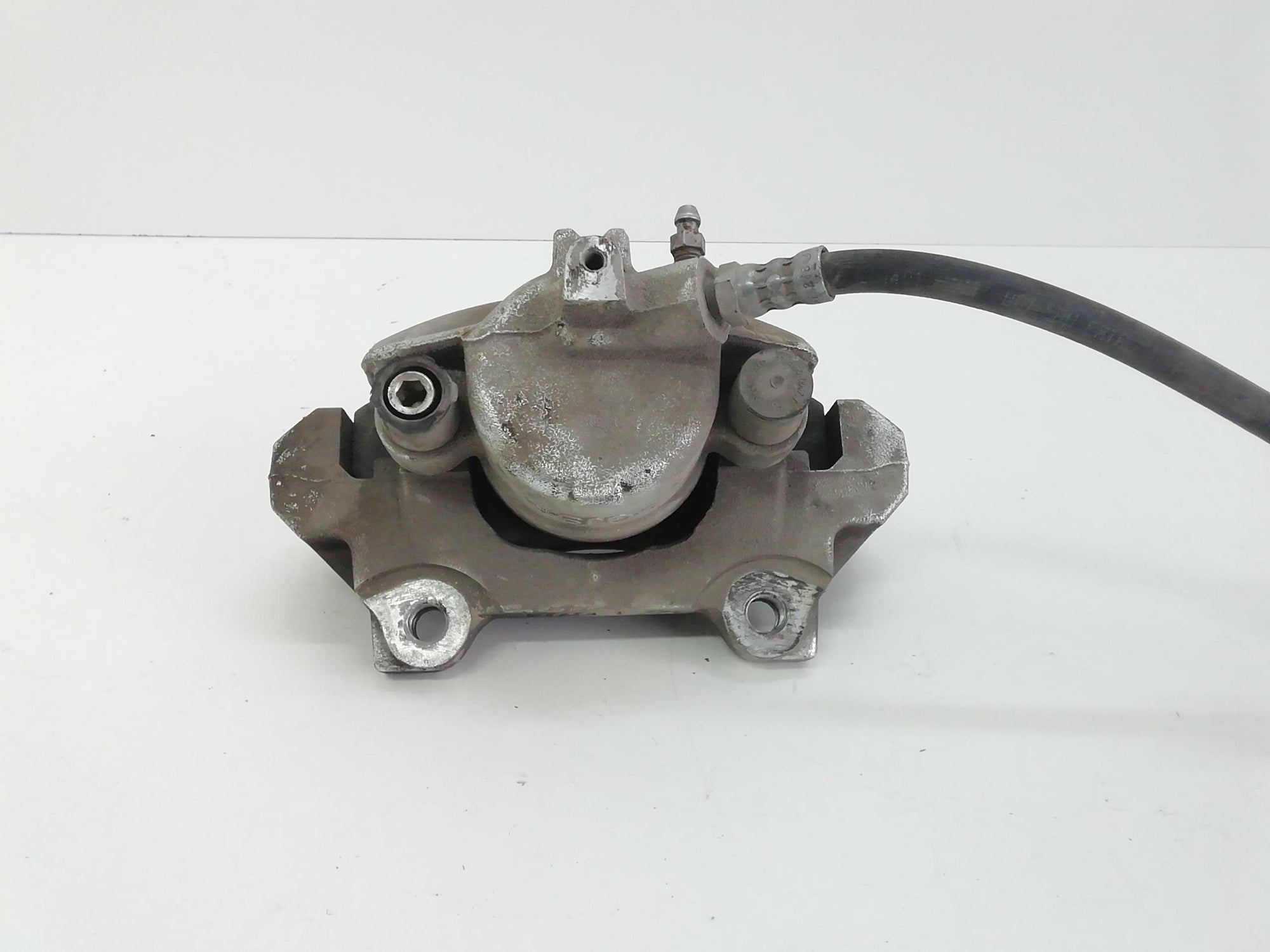 Immagine 3