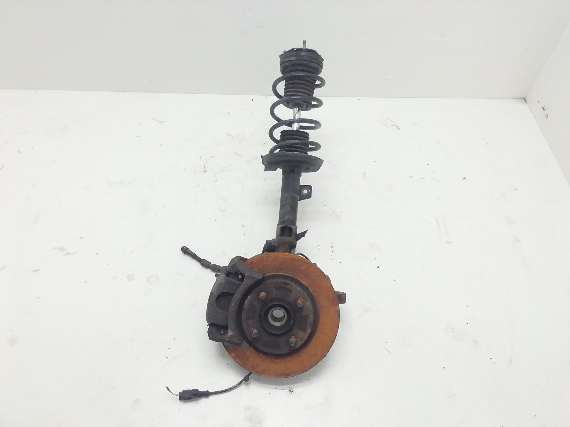 Immagine 1