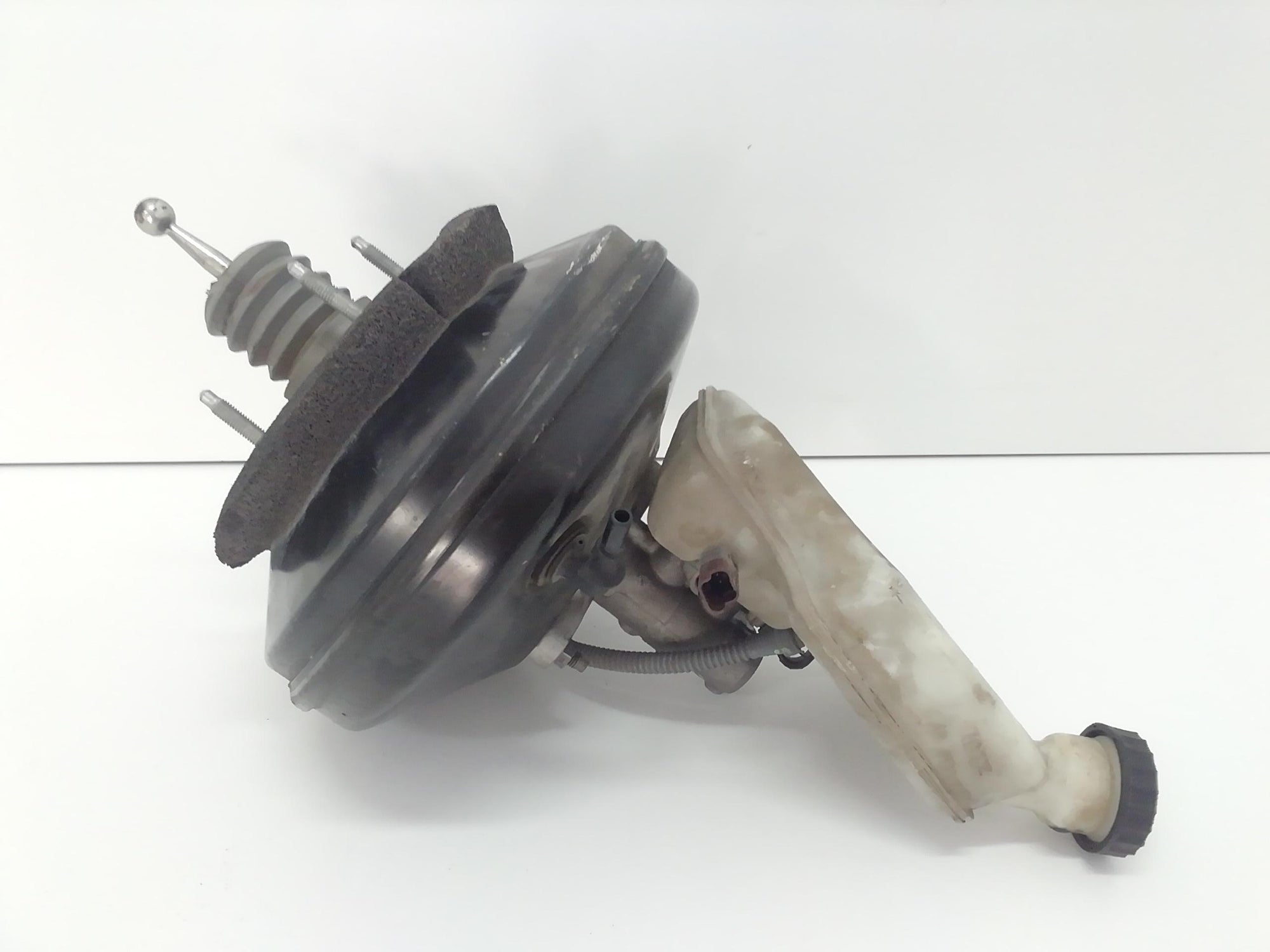 Immagine 4