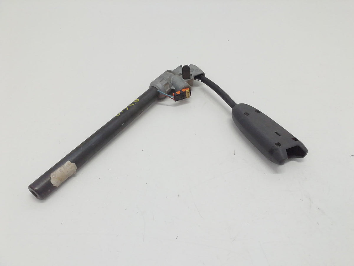 Immagine 3