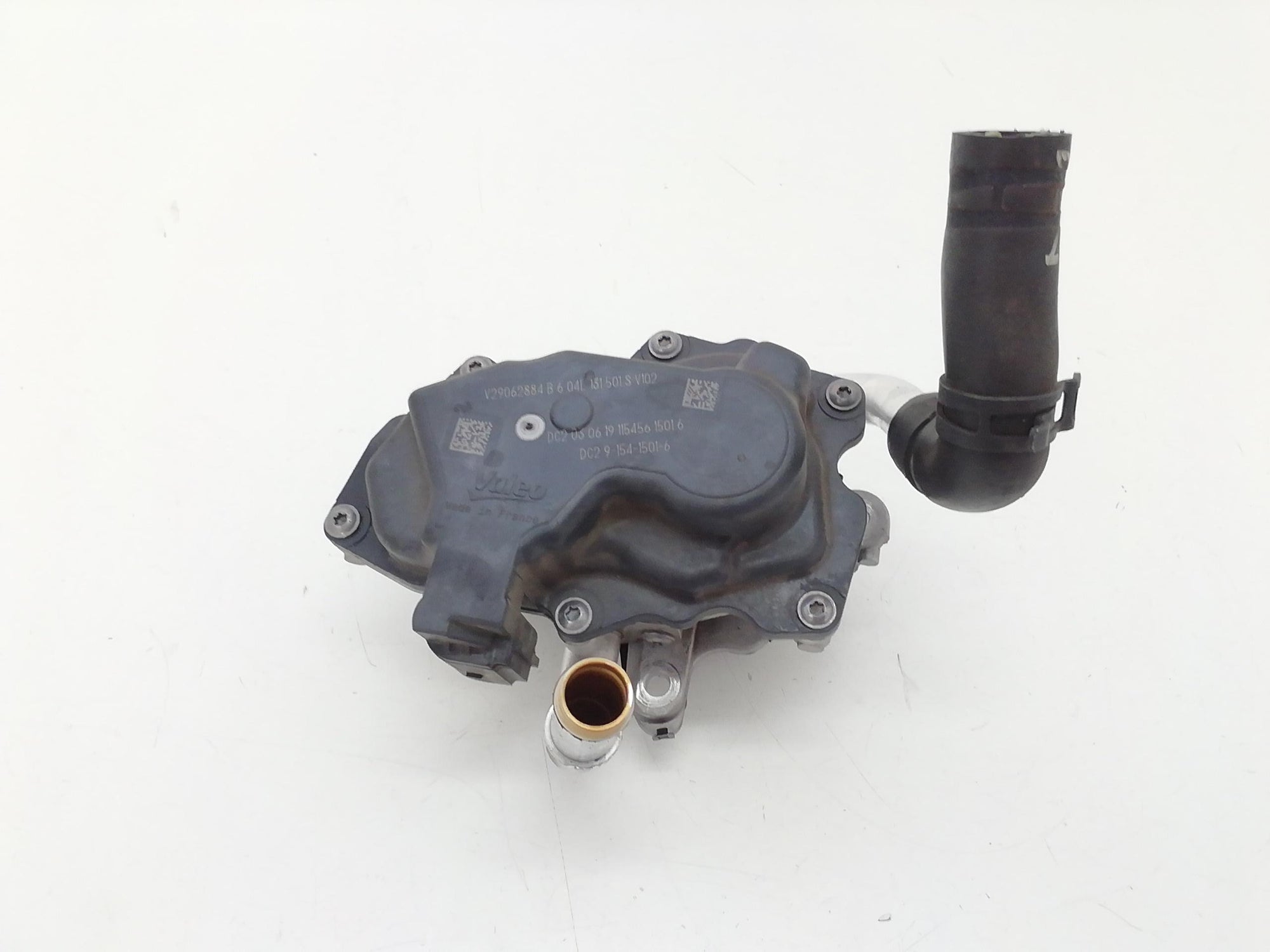 Immagine 1