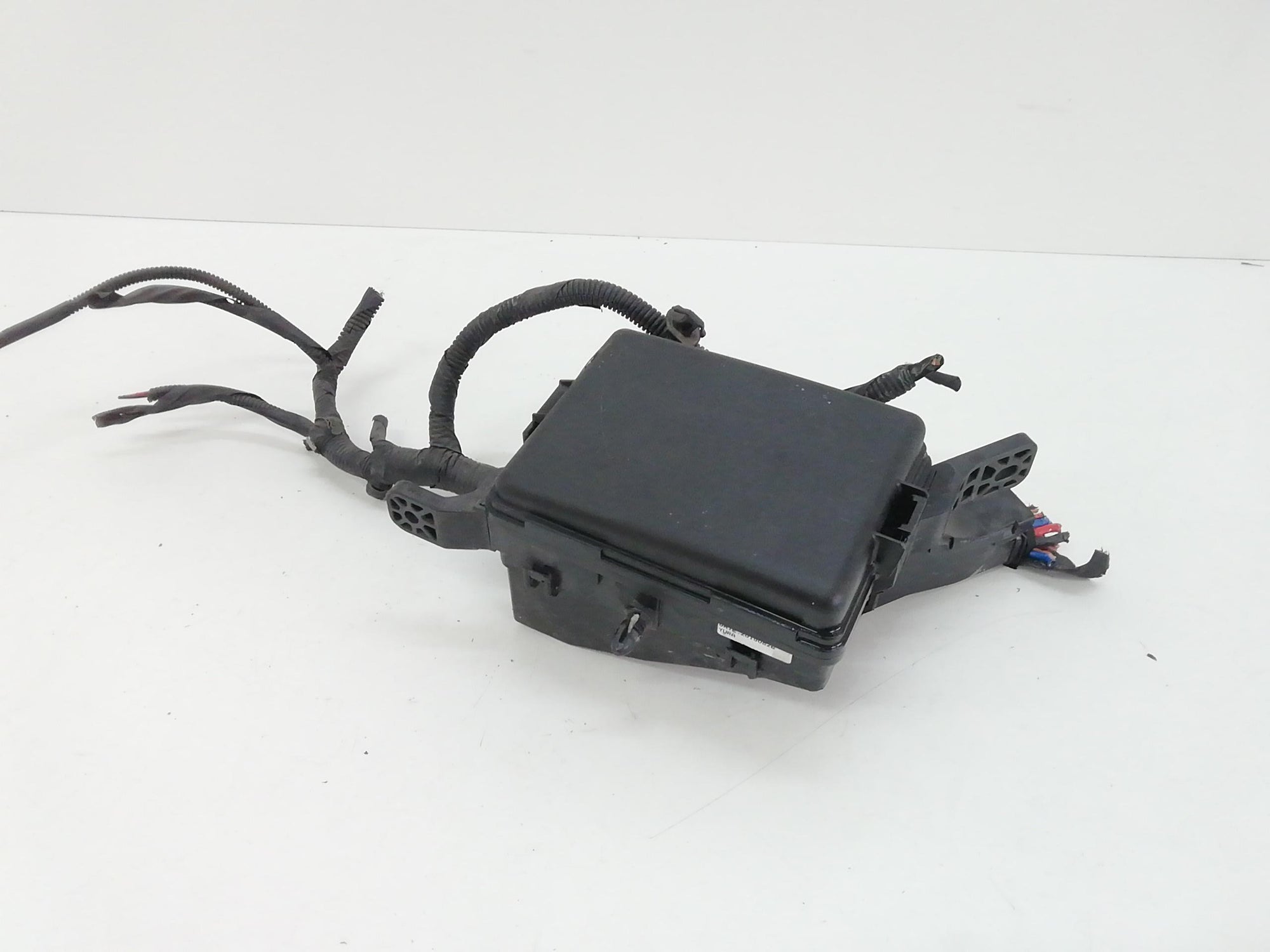 Immagine 6