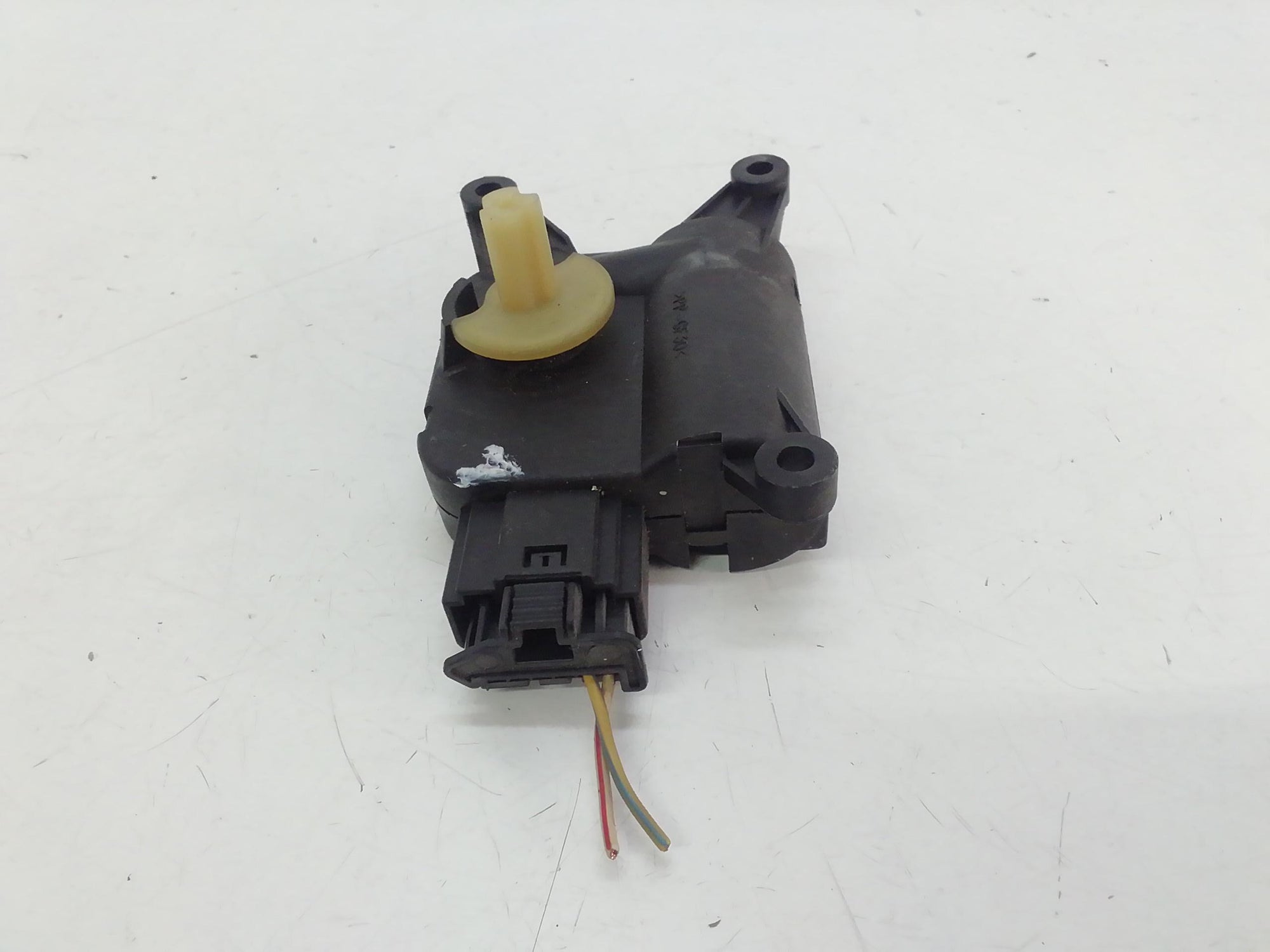 Immagine 3