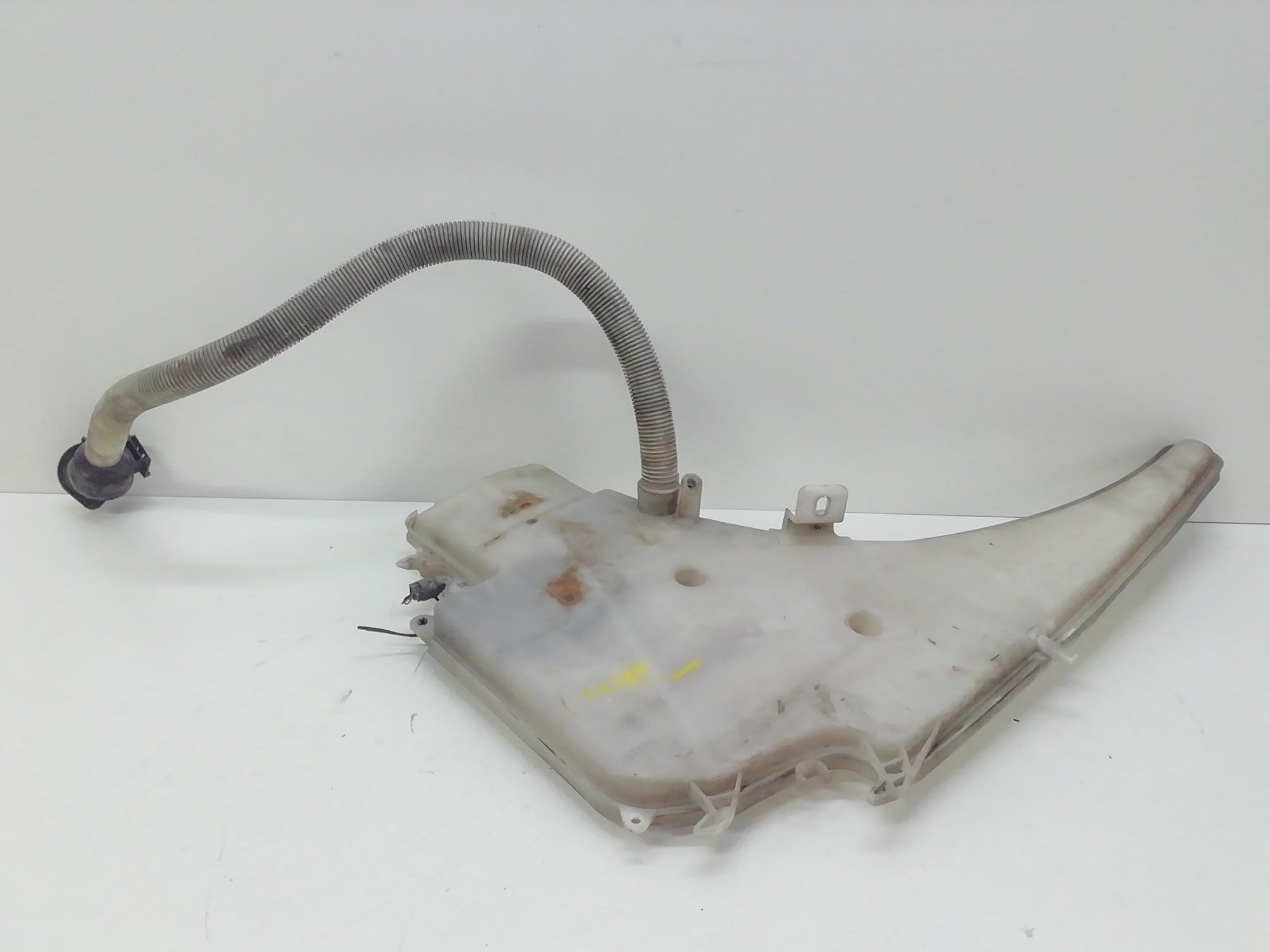 Immagine 3