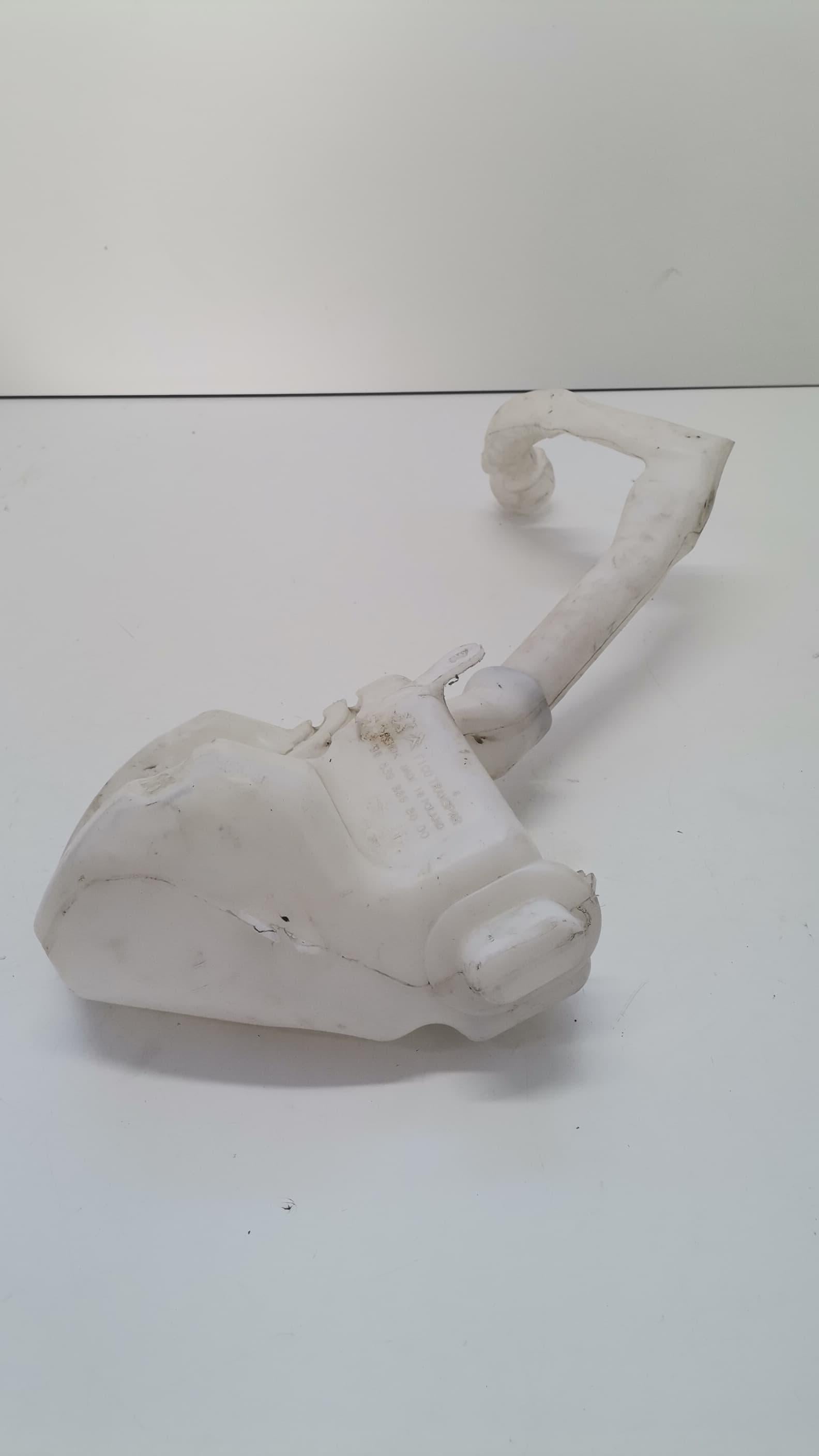 Immagine 3