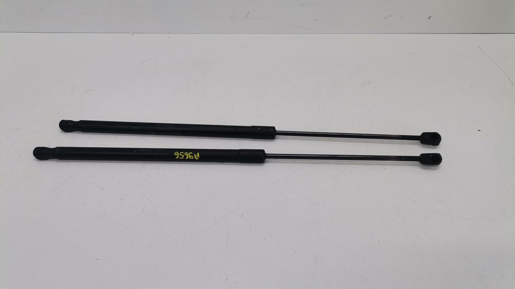 Immagine 9