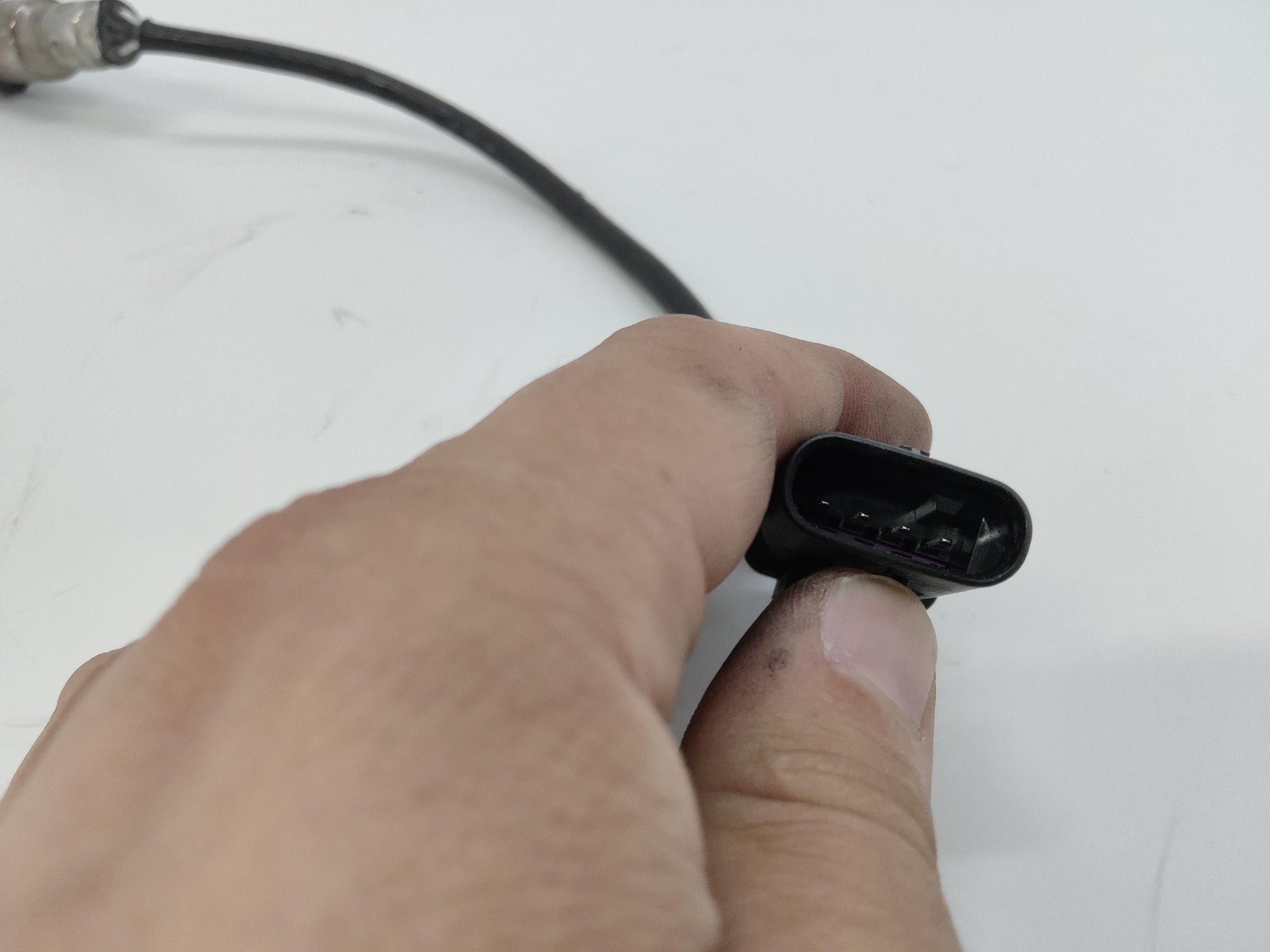Immagine 4