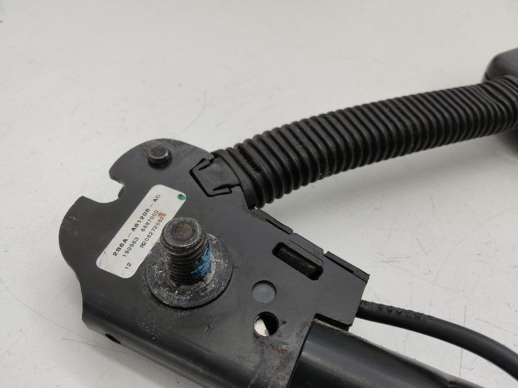 Immagine 2