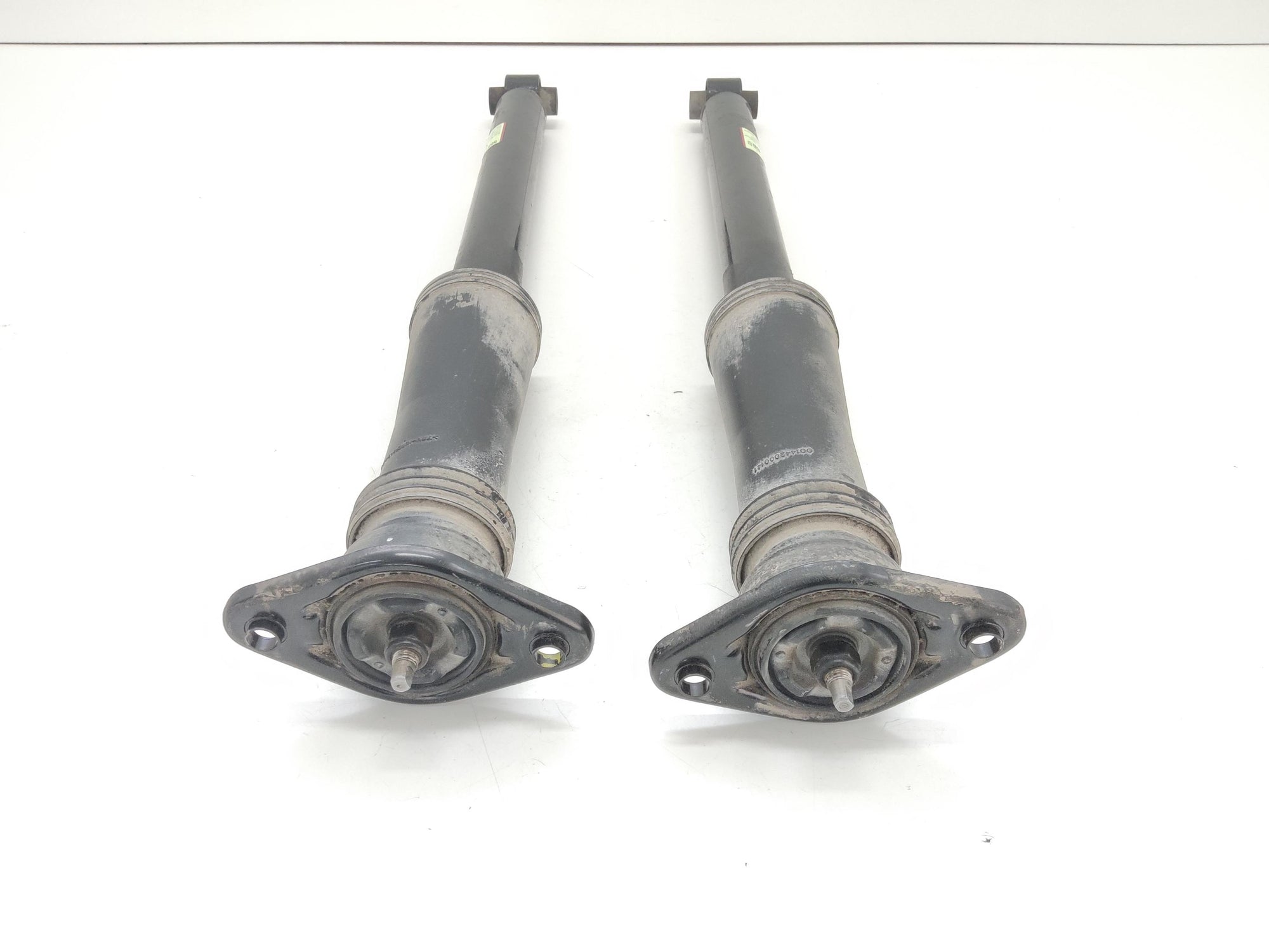 Immagine 3