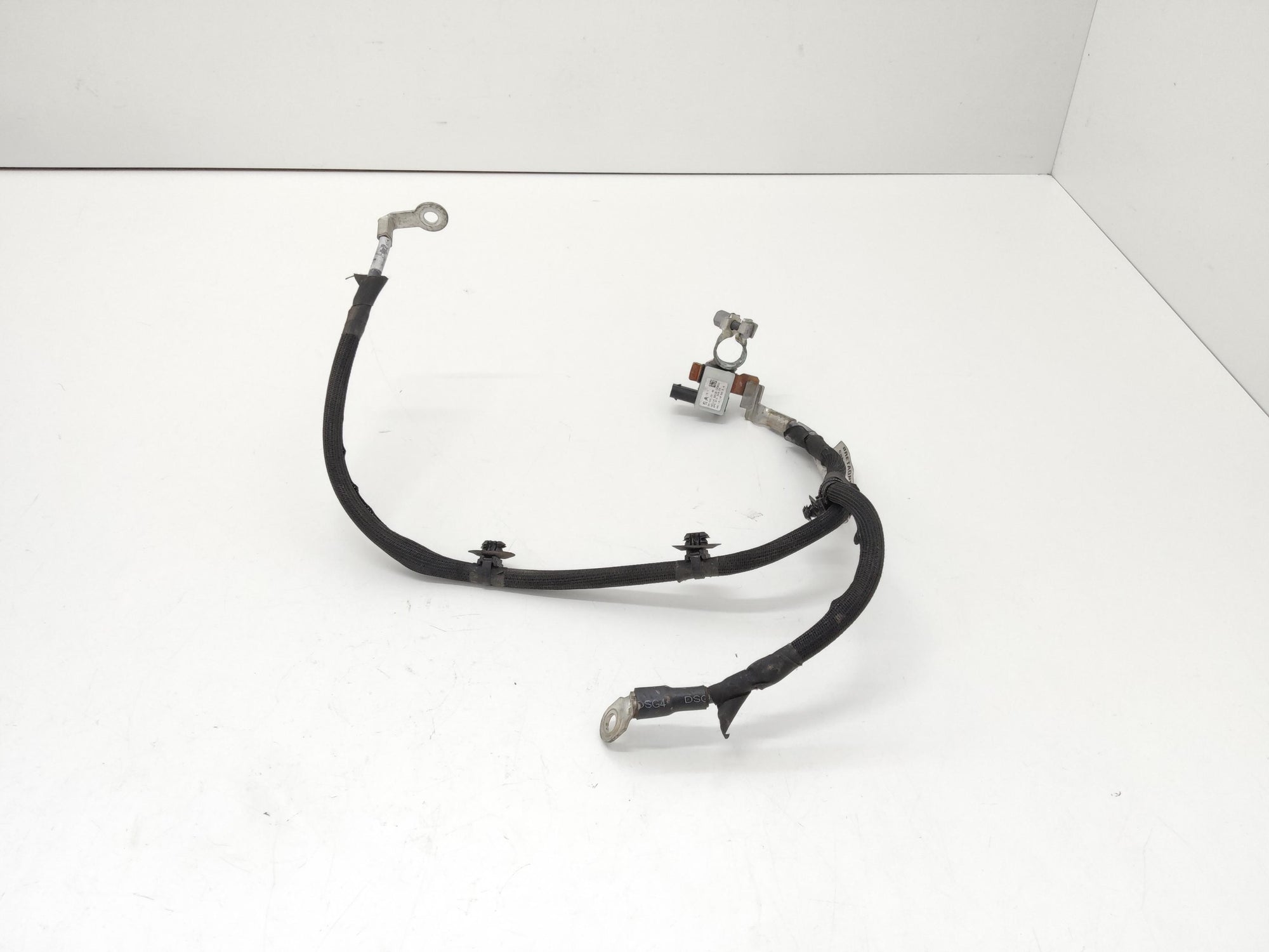 Immagine 4