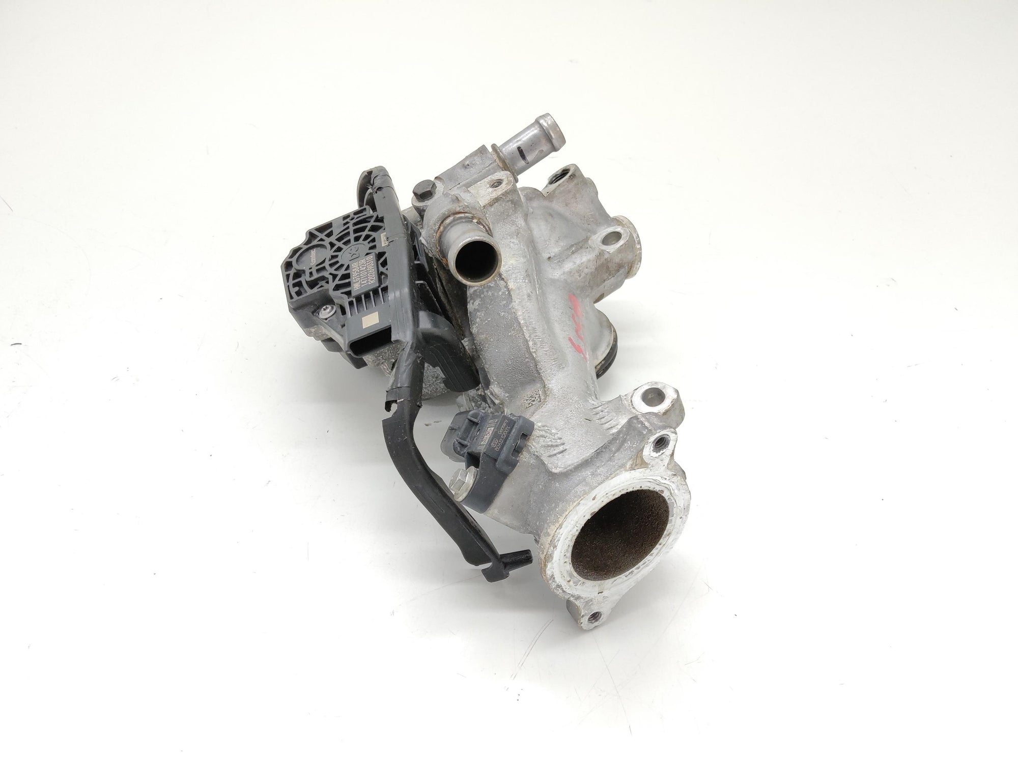 Immagine 4