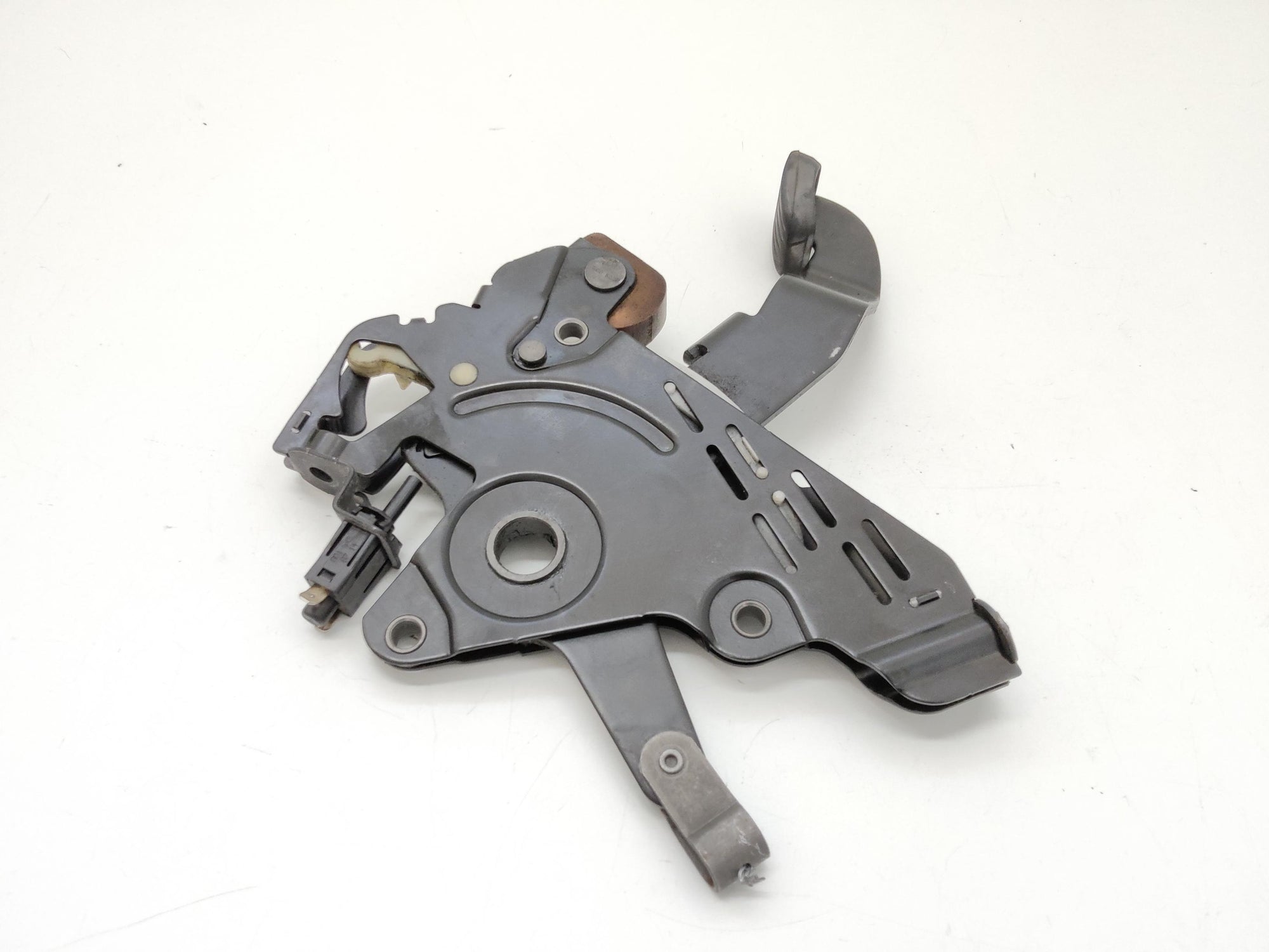 Immagine 6
