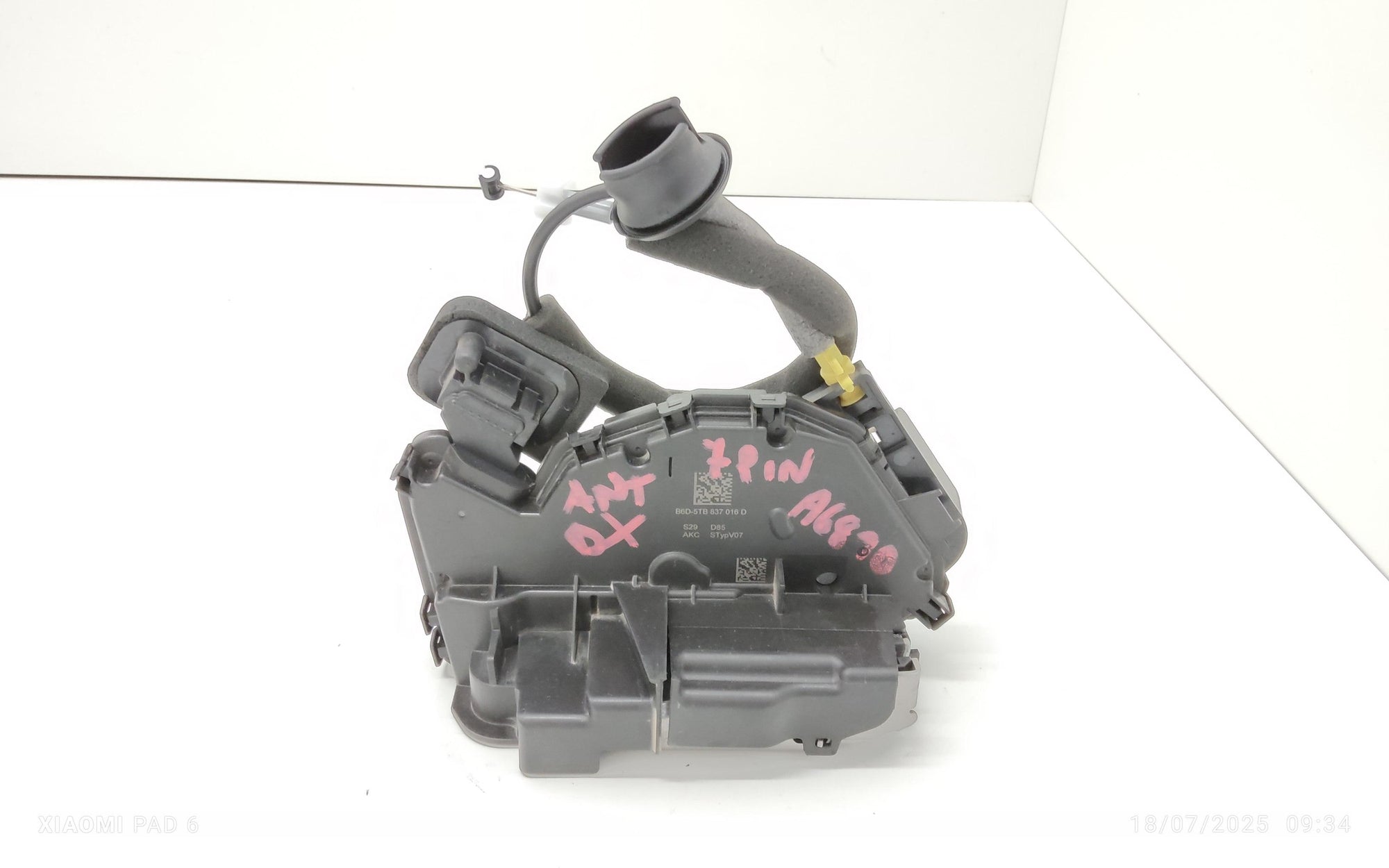 Immagine 1
