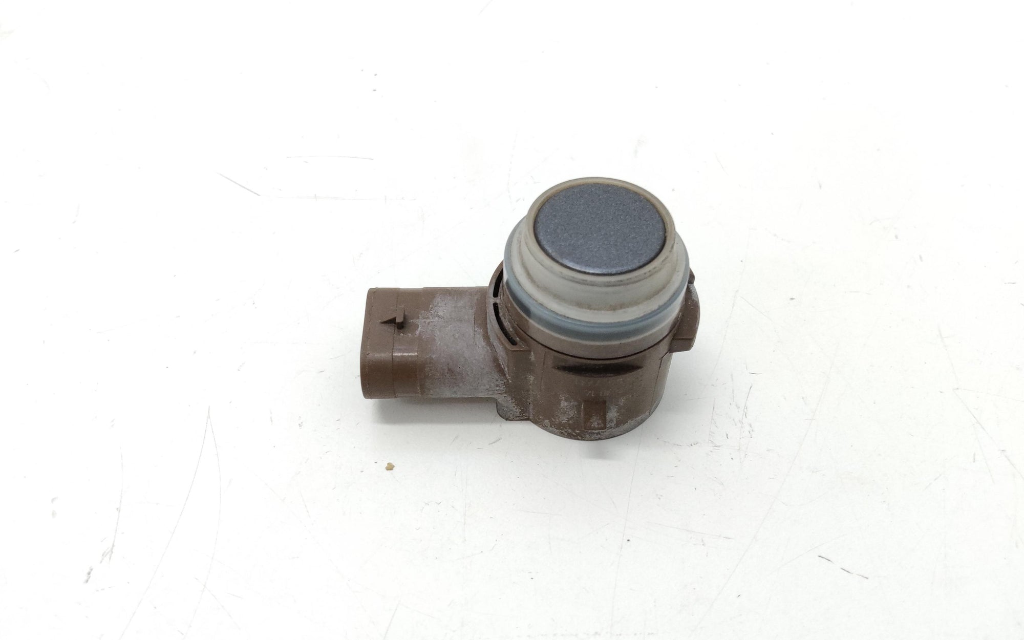 Immagine 4