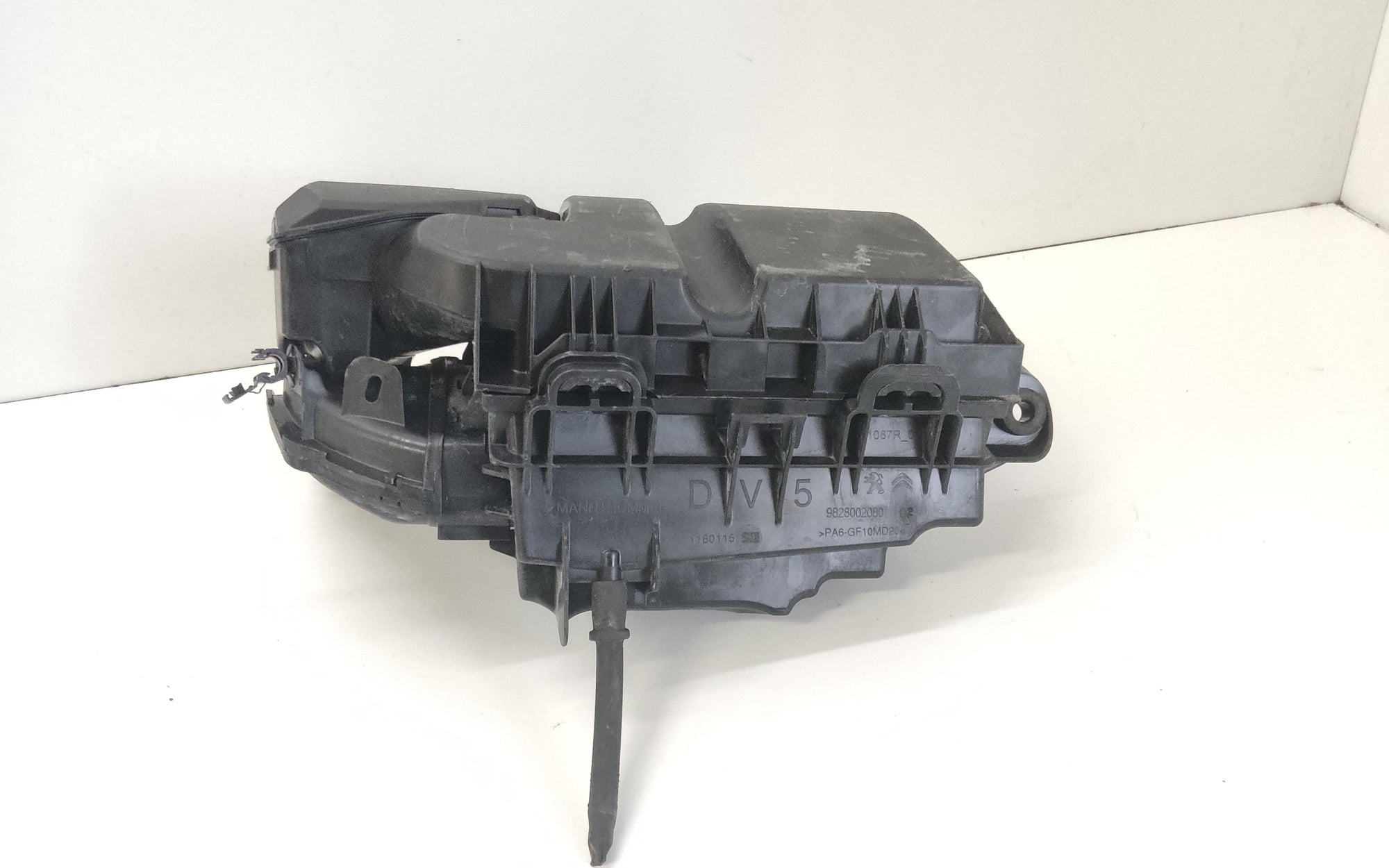 Immagine 6
