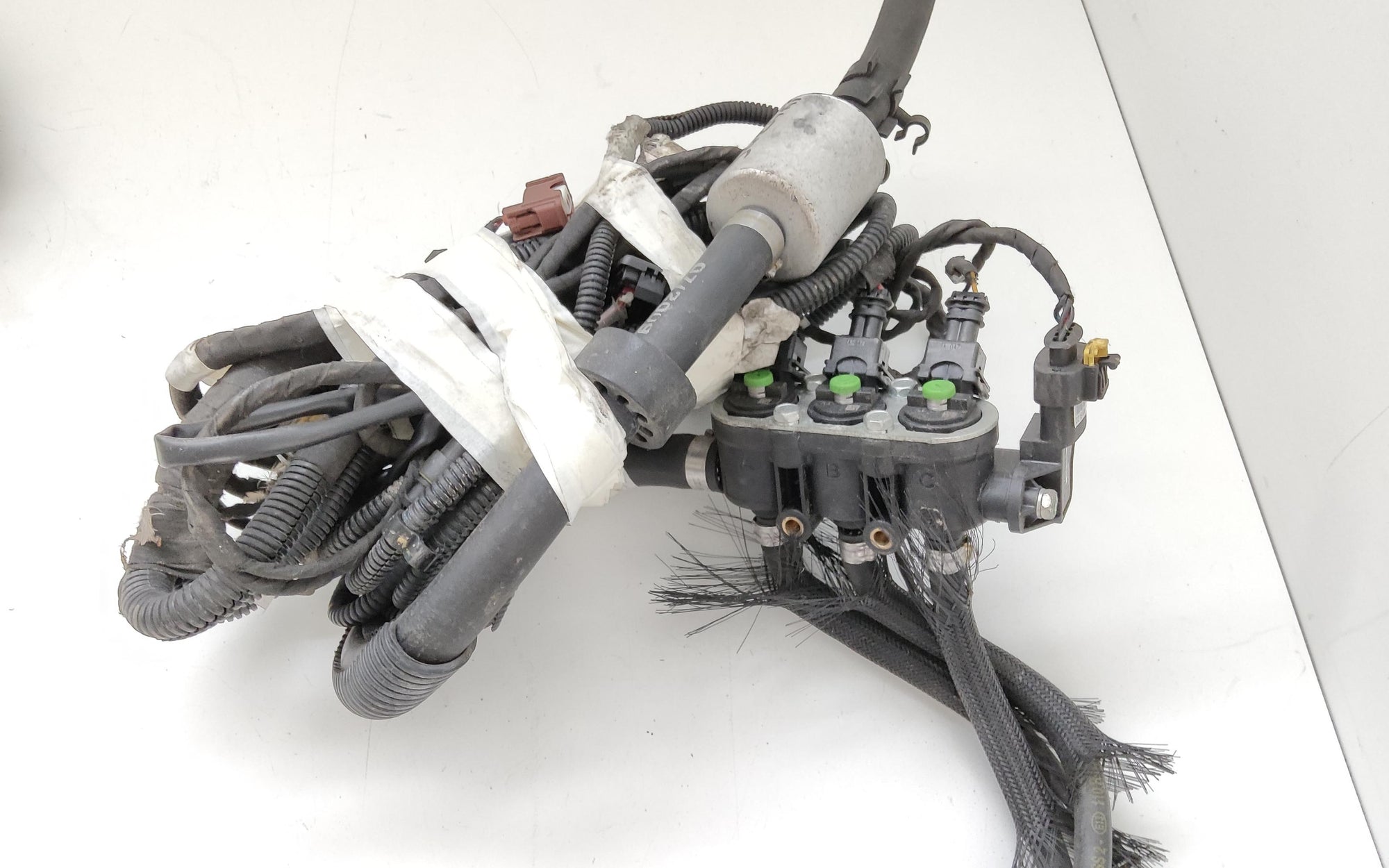 Immagine 9