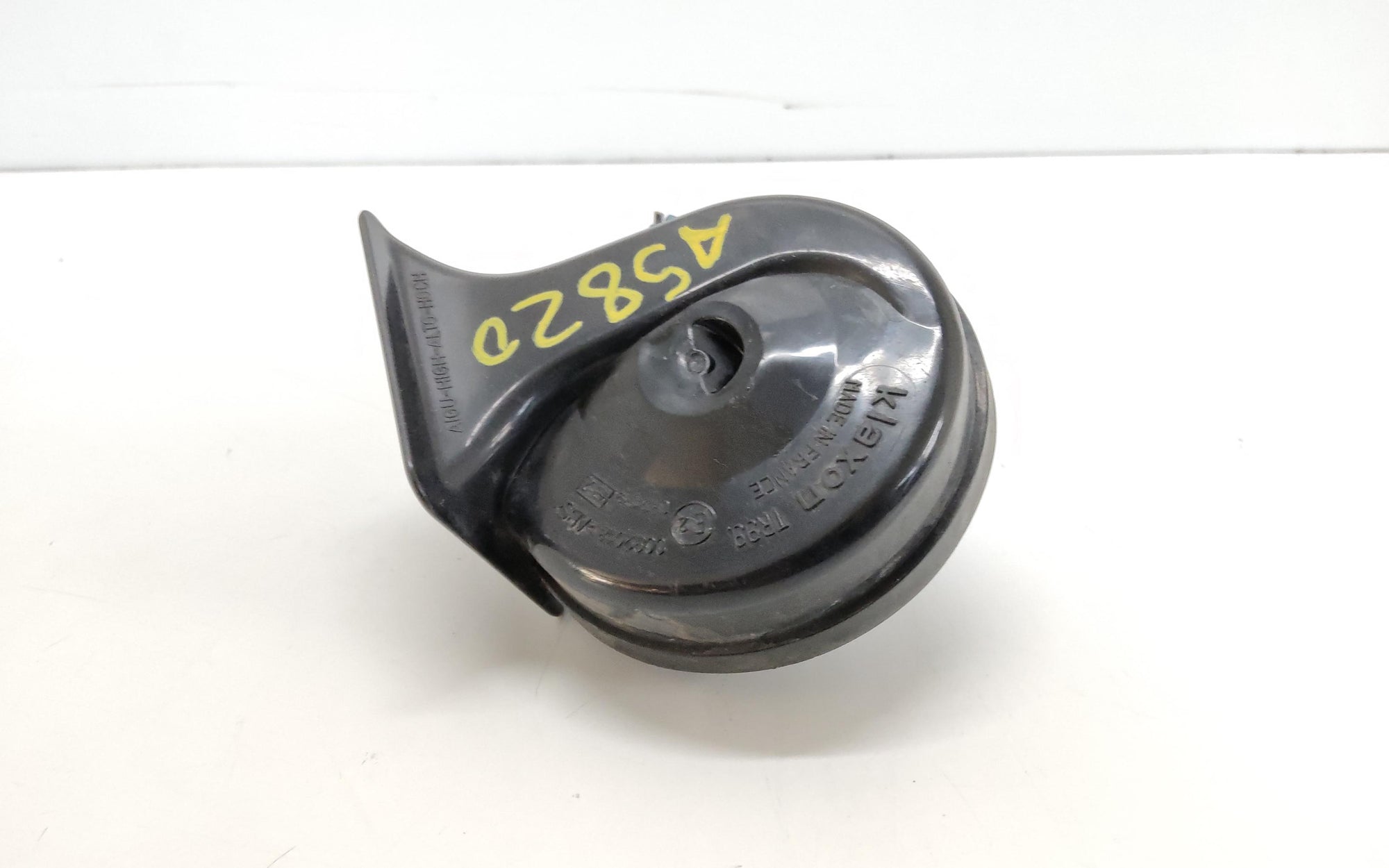 Immagine 1