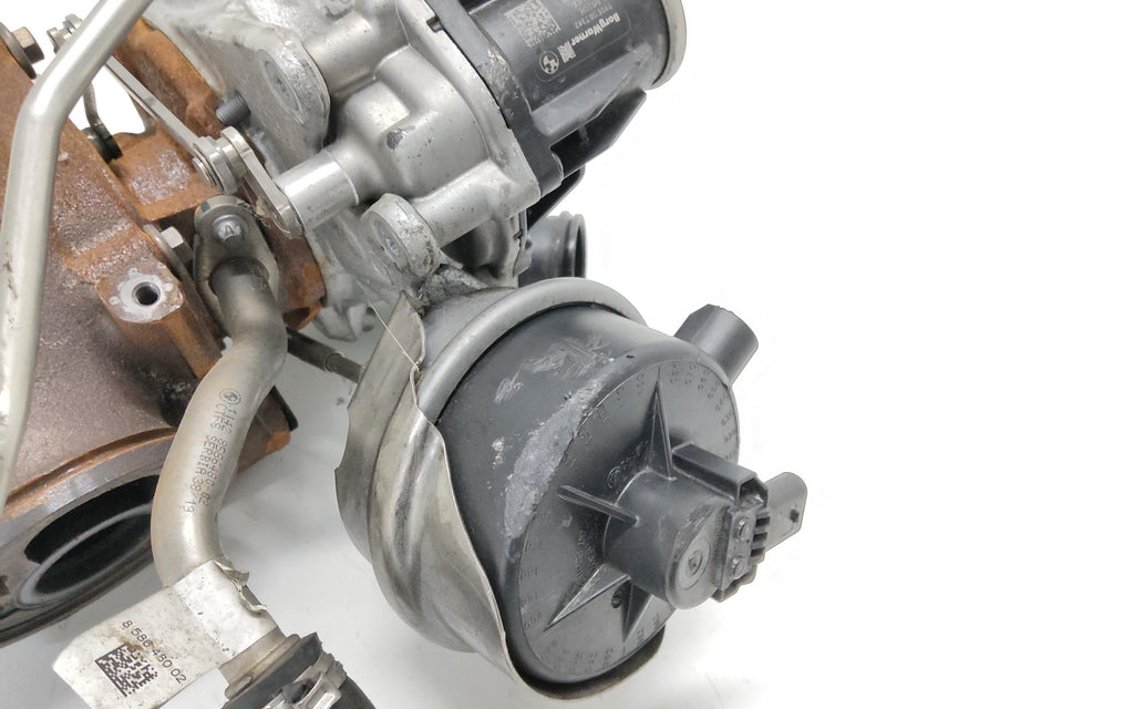 Immagine 6