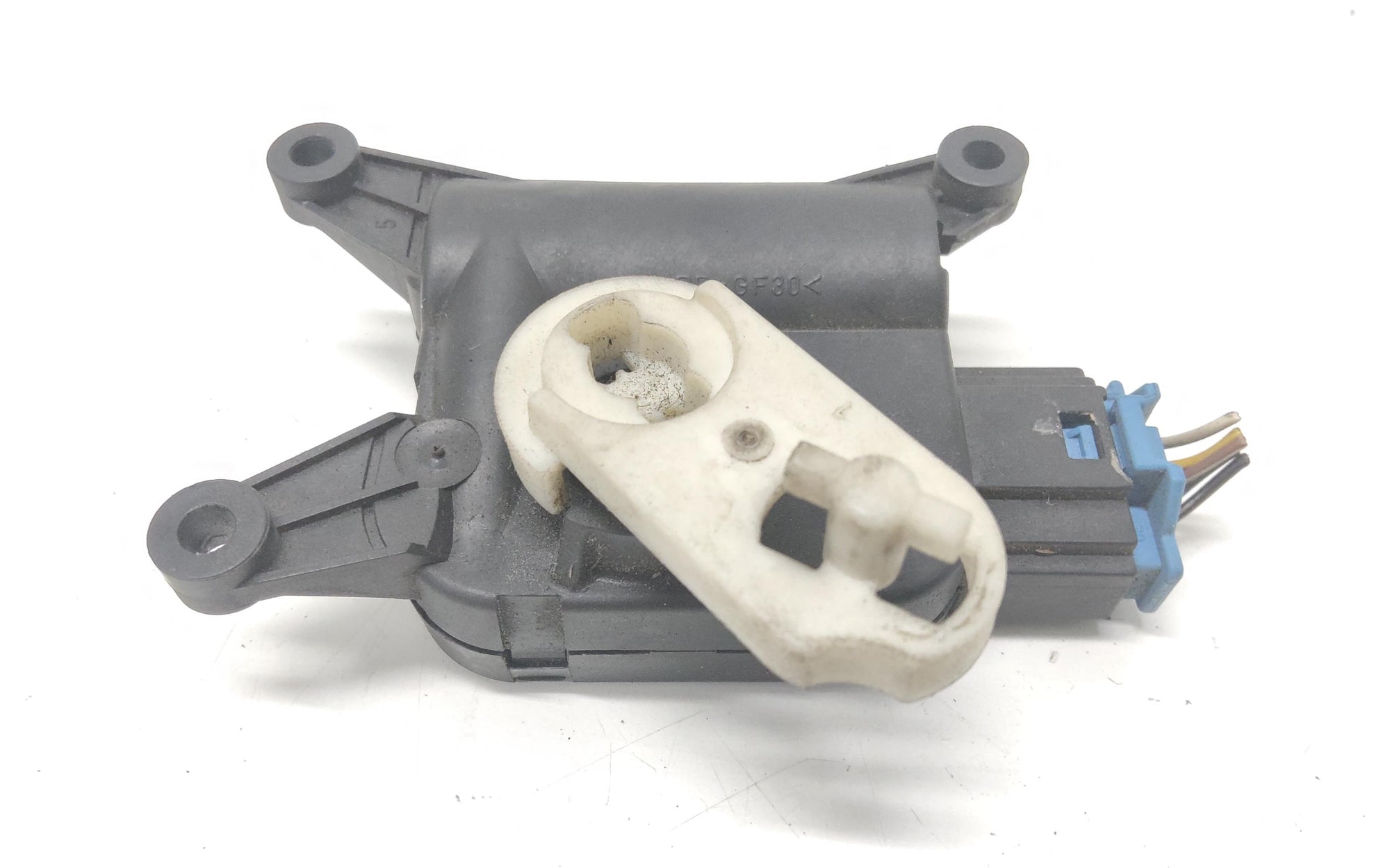 Immagine 6