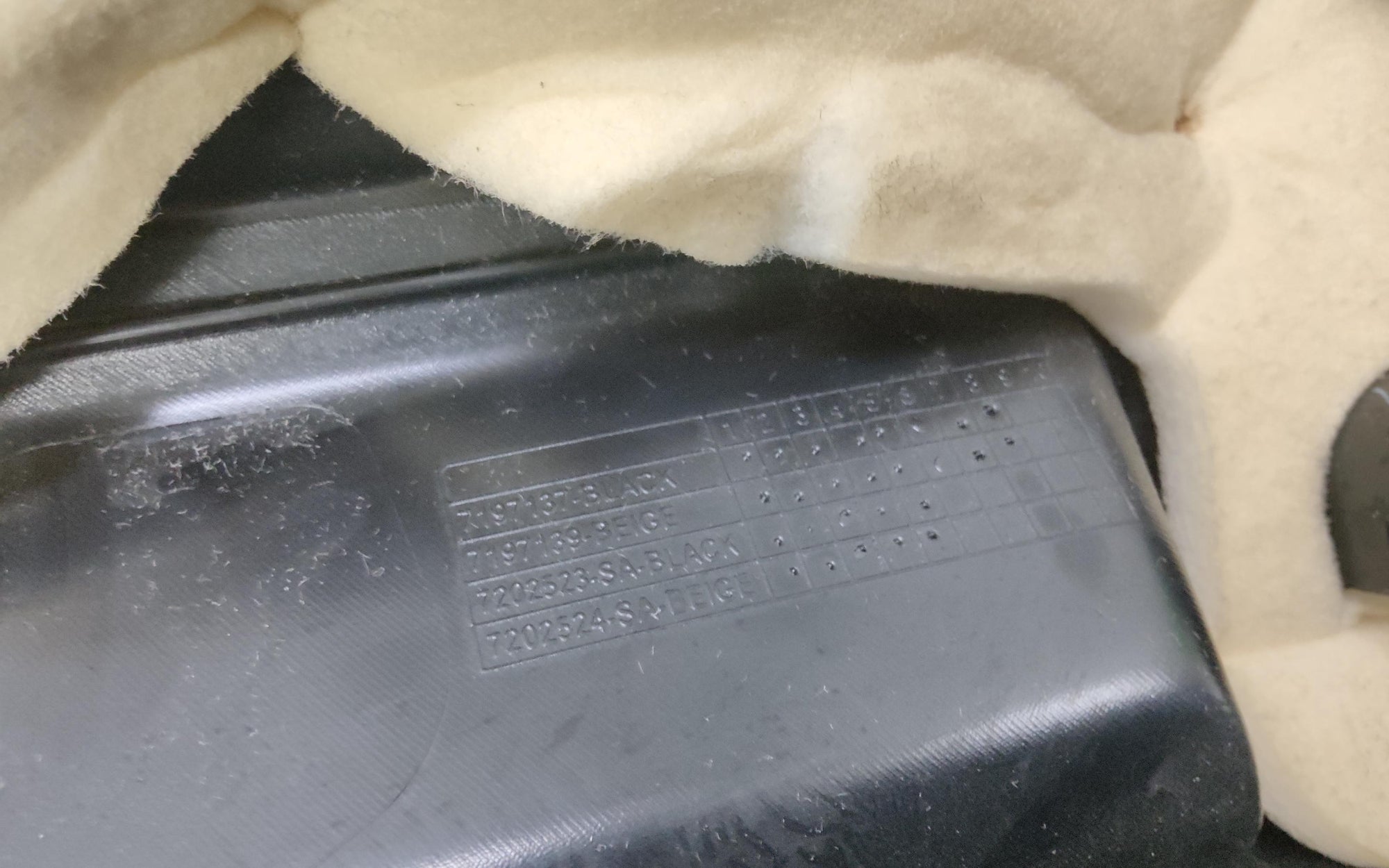 Immagine 6