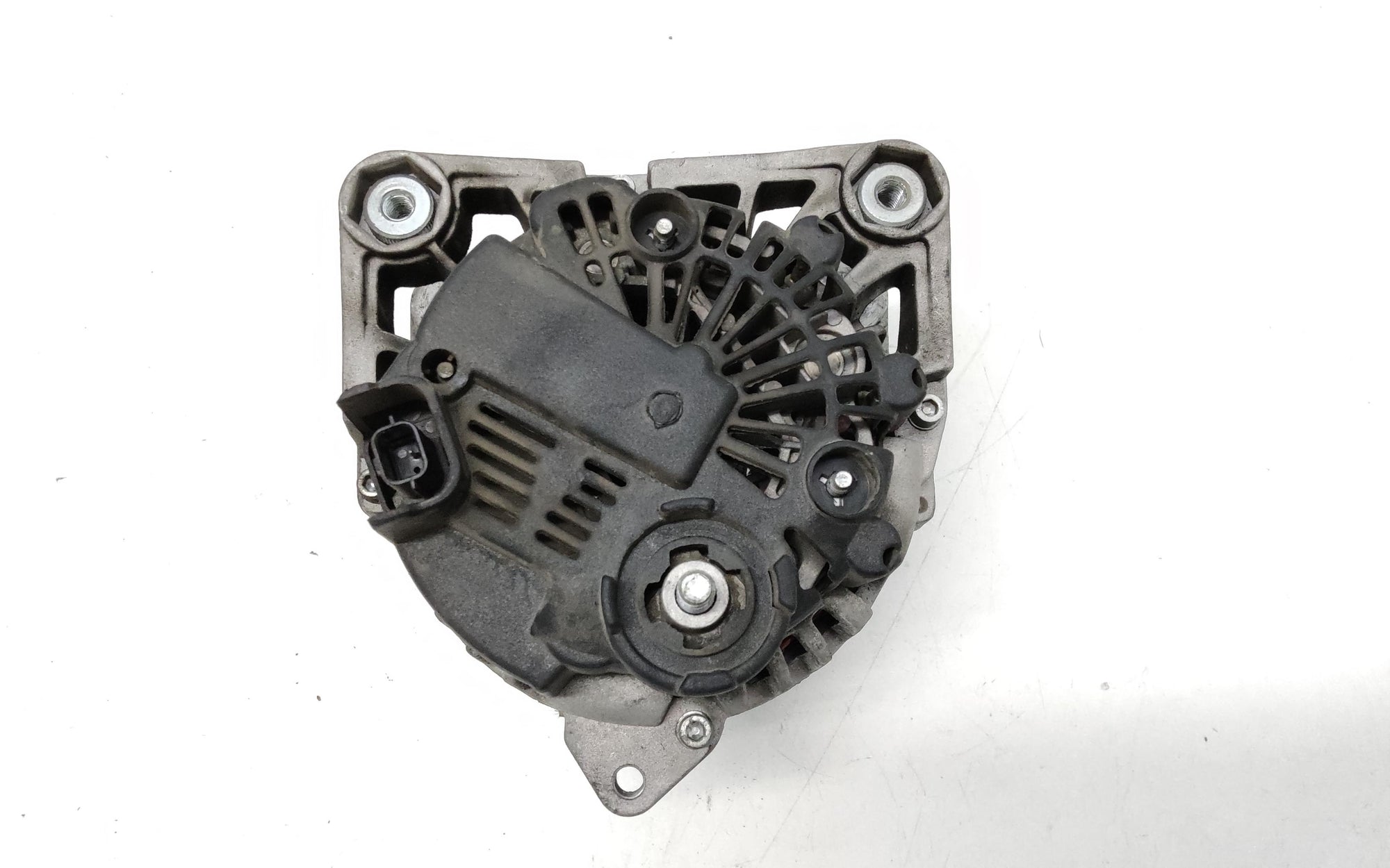 Immagine 5