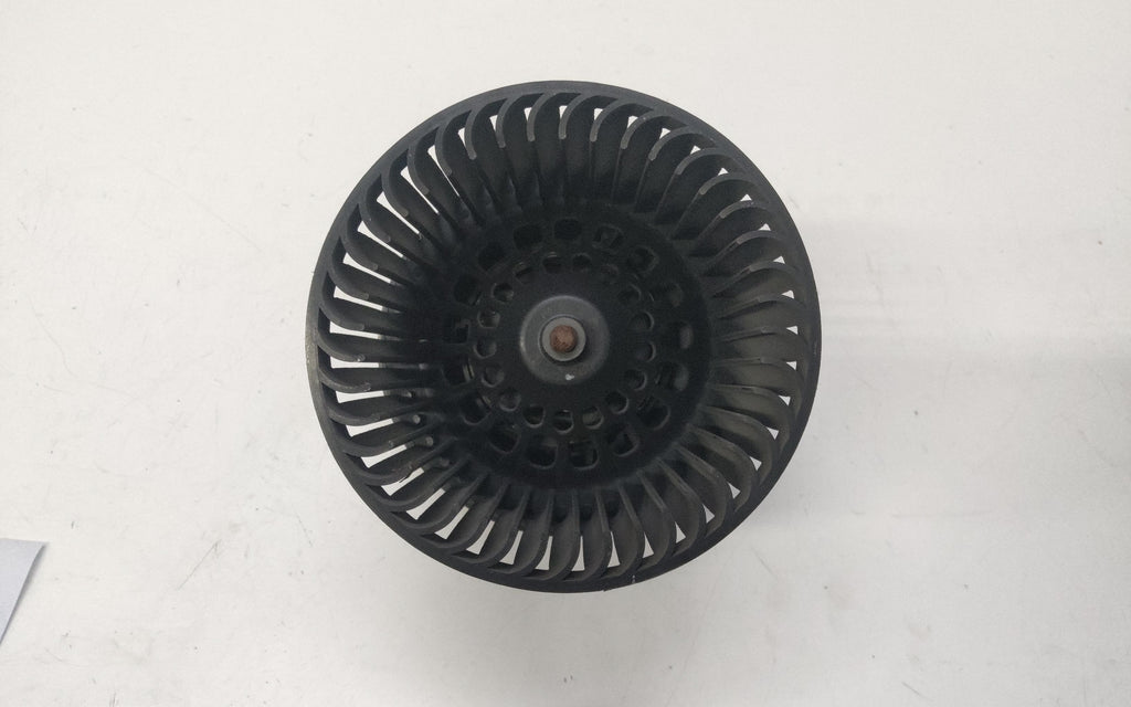 Immagine 6