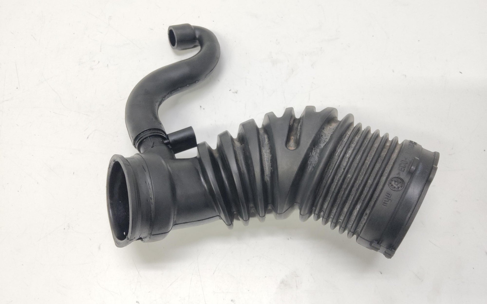 Immagine 1