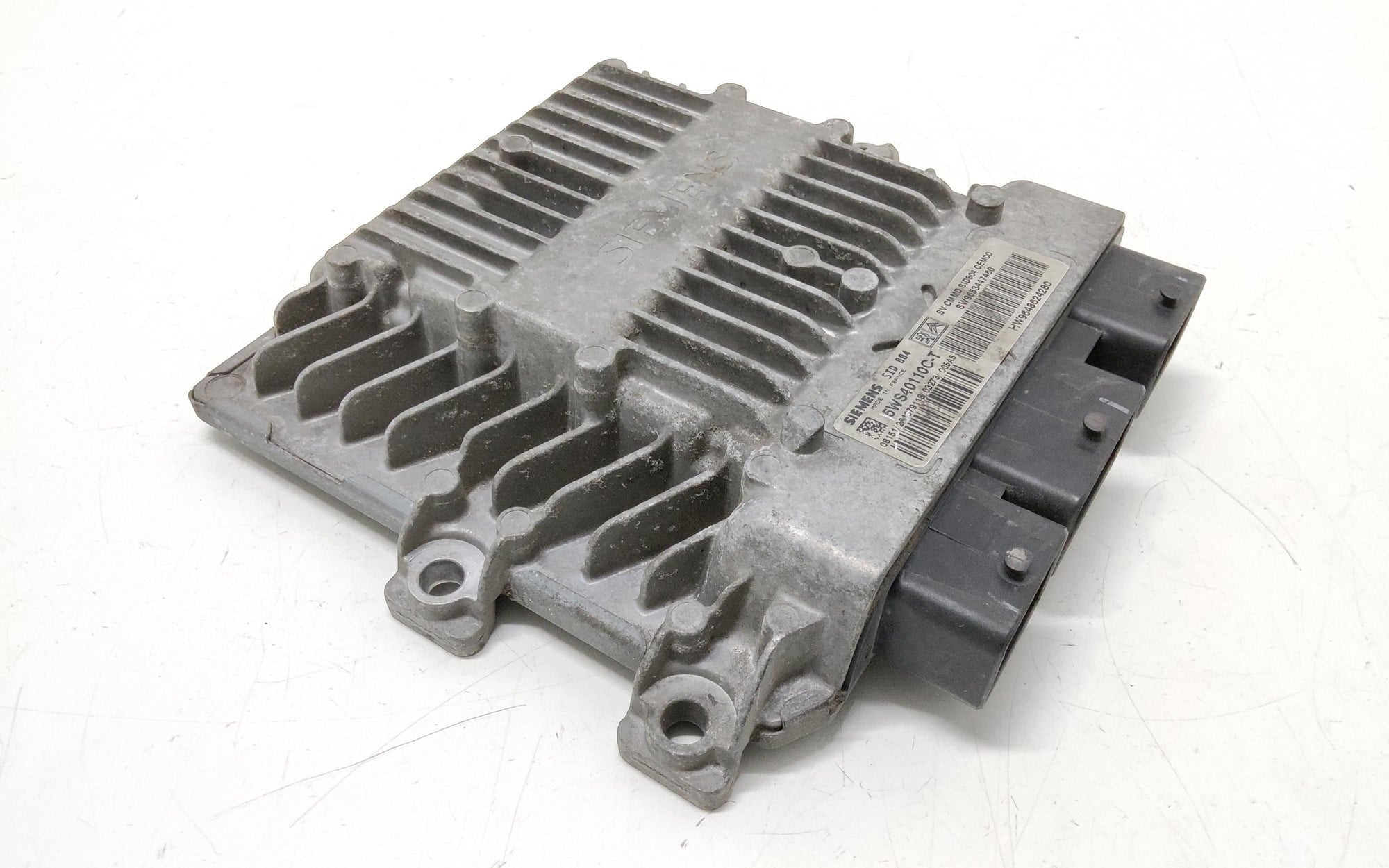 Immagine 4