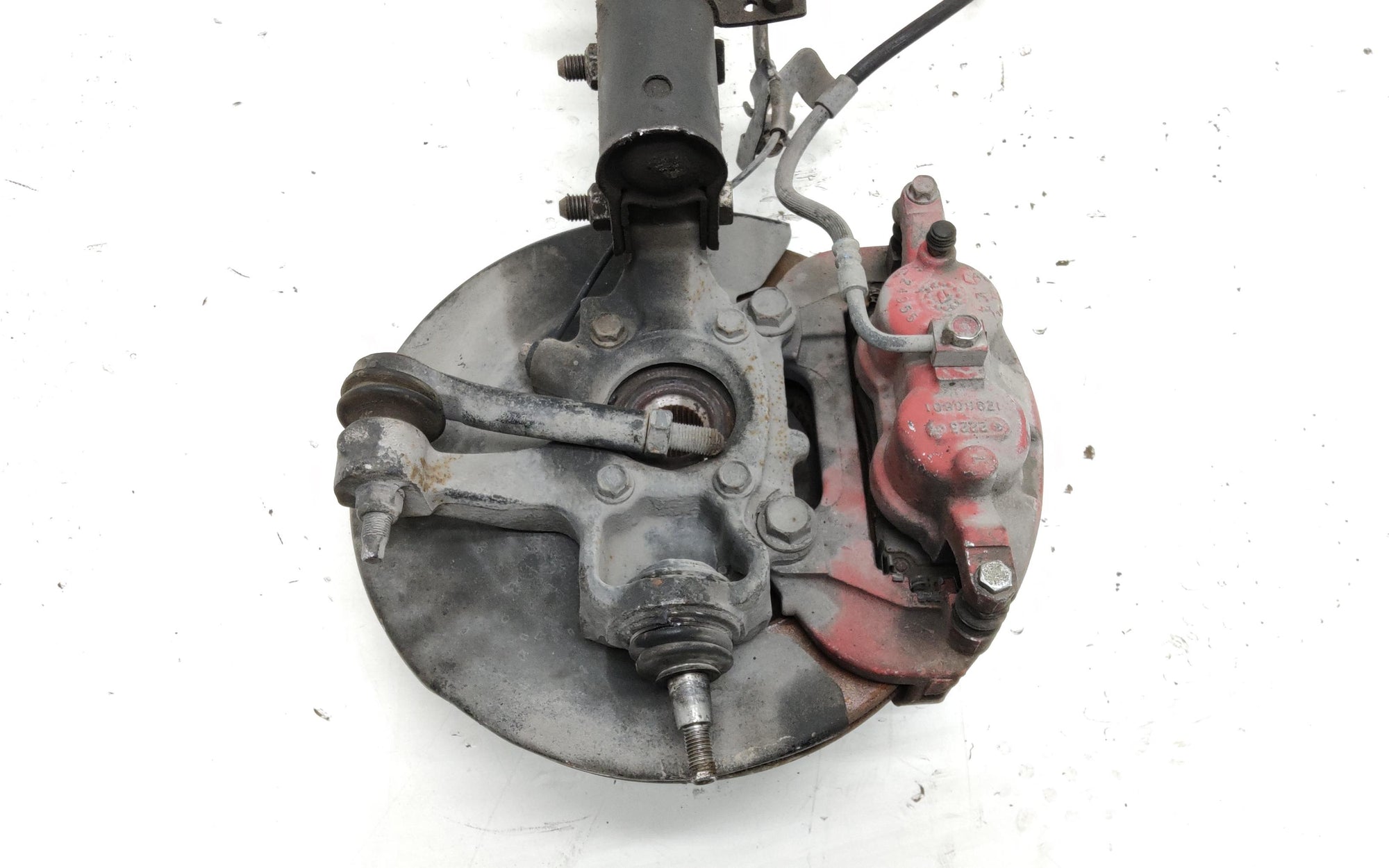 Immagine 8