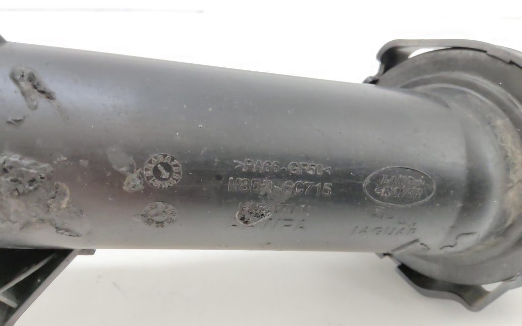 Immagine 8