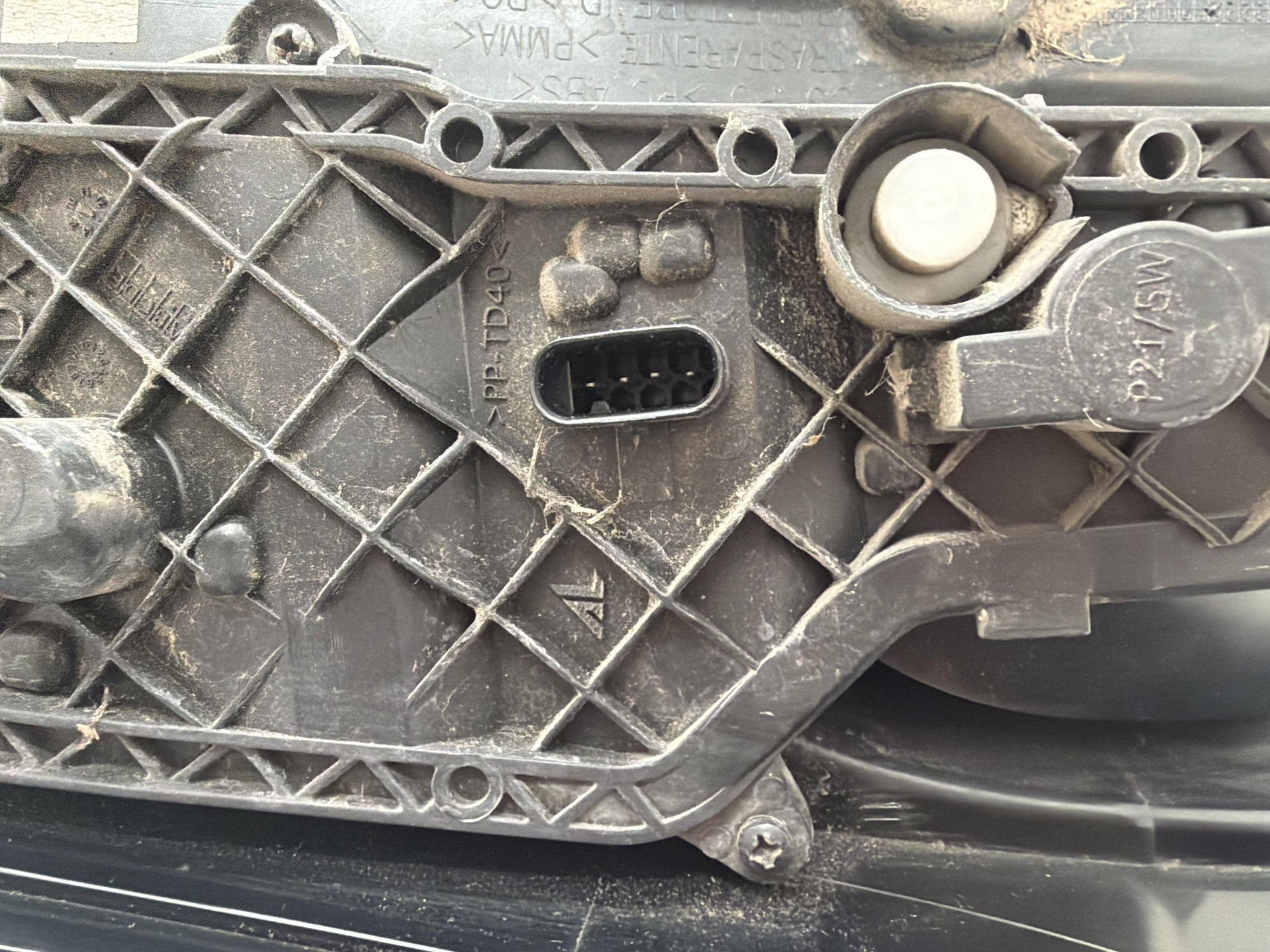 Immagine 8