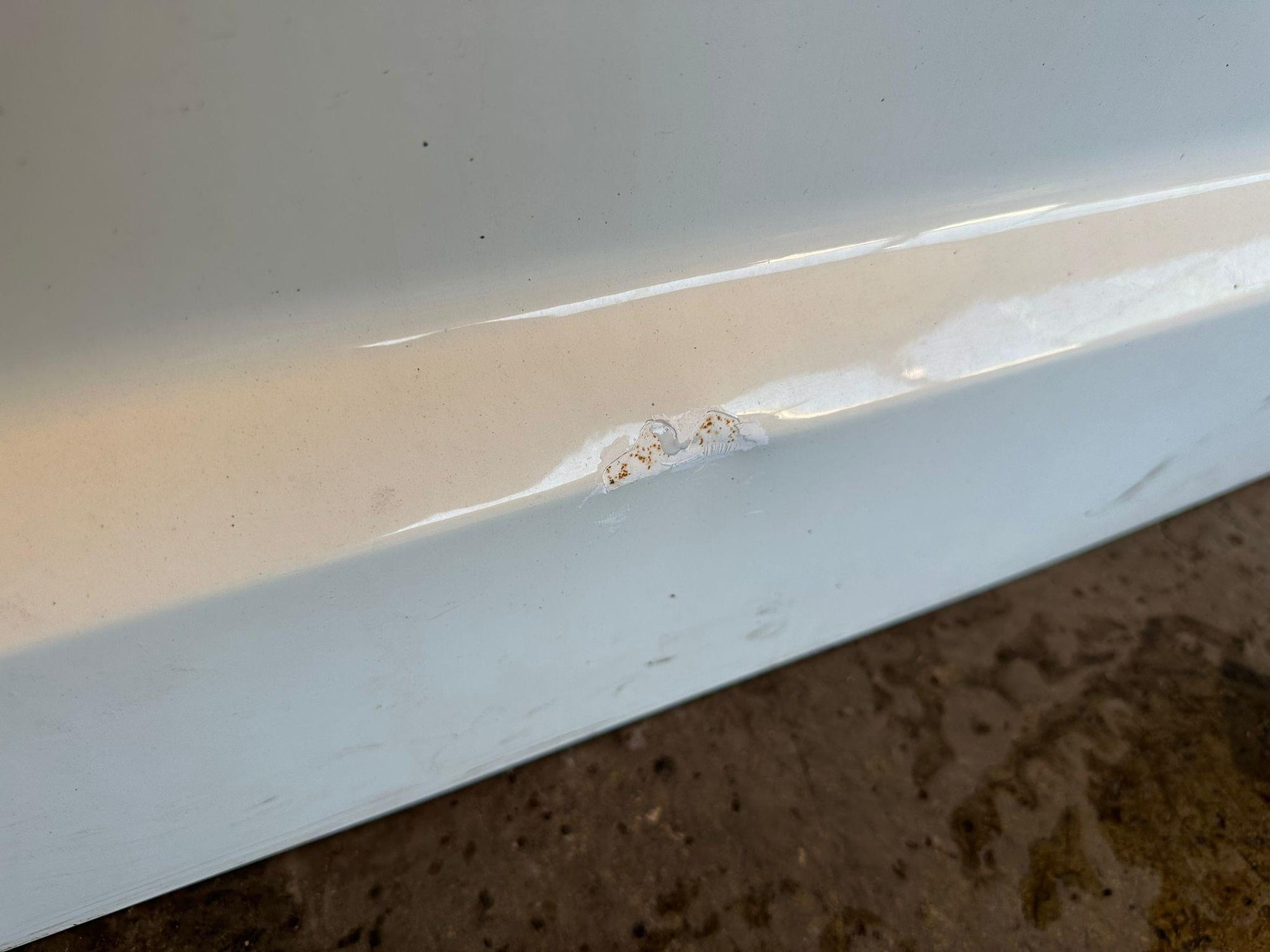 Immagine 7