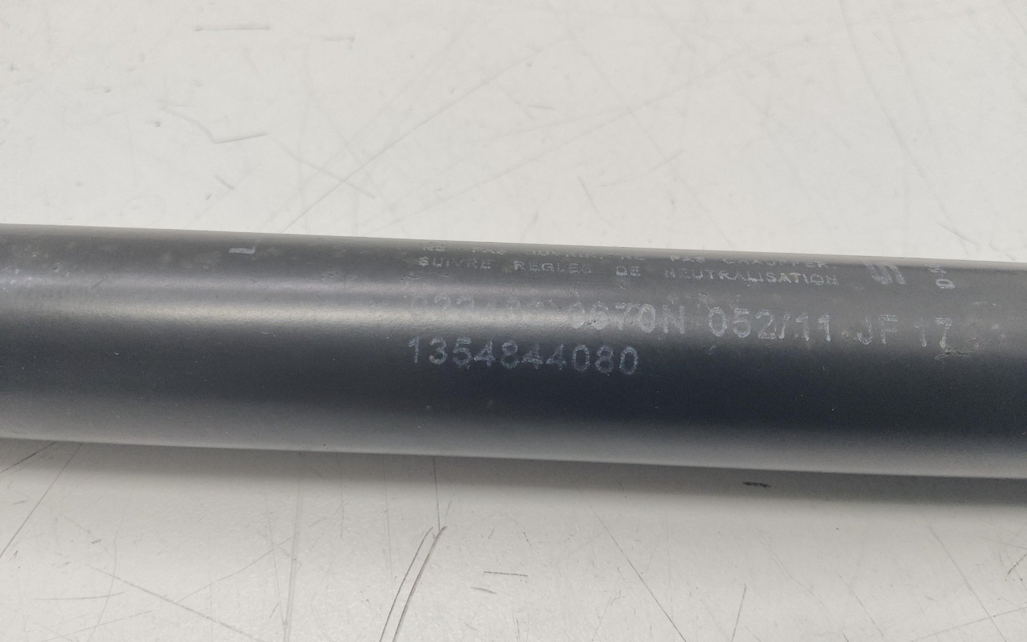 Immagine 5