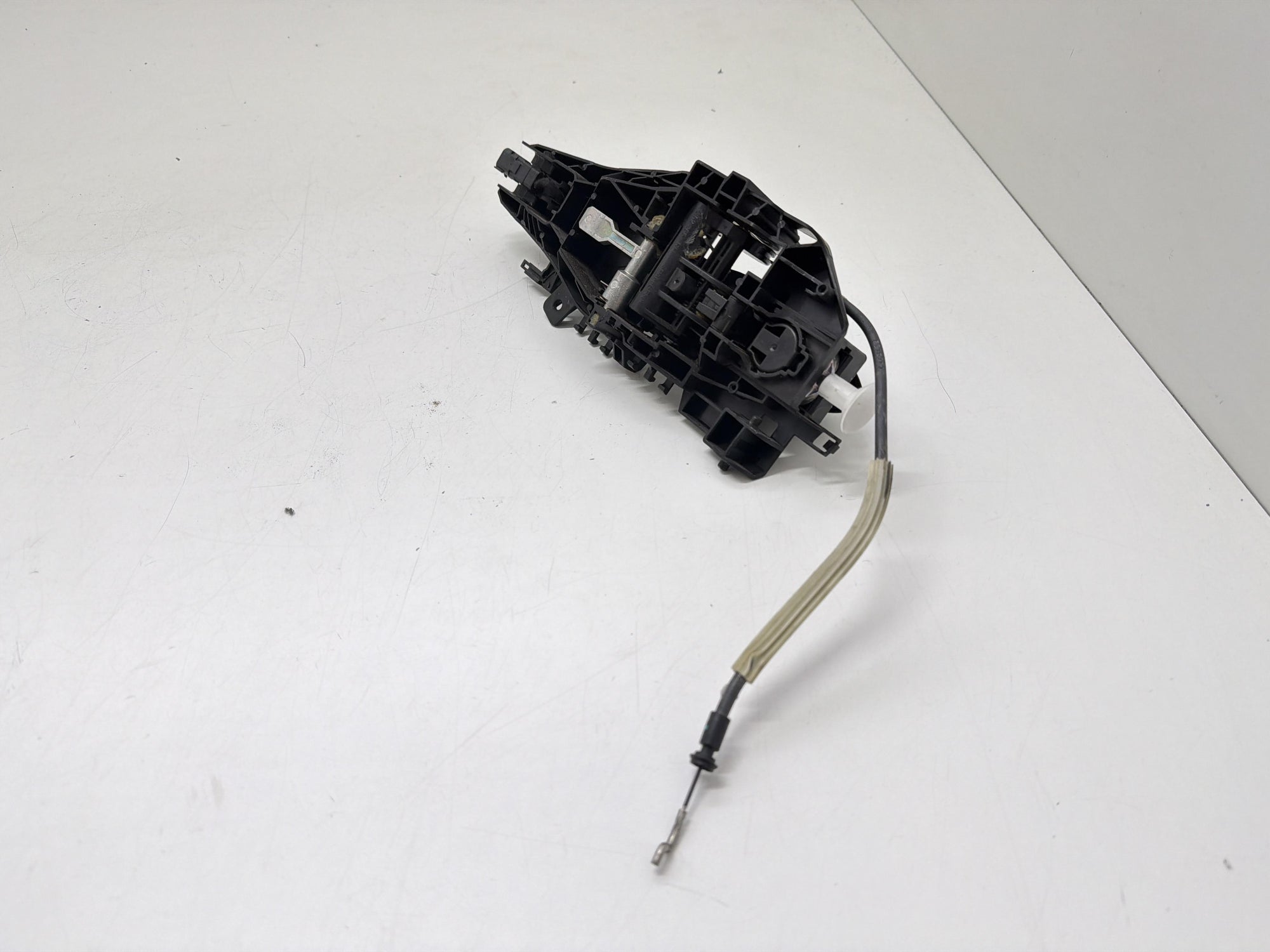 Immagine 8