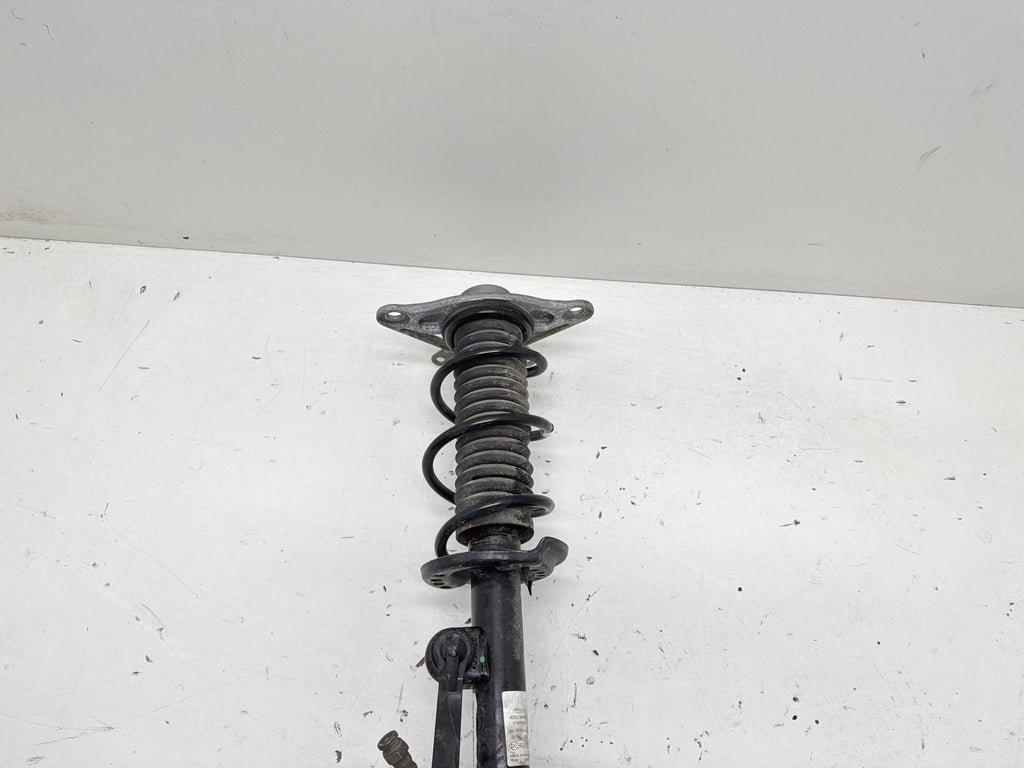 Immagine 10